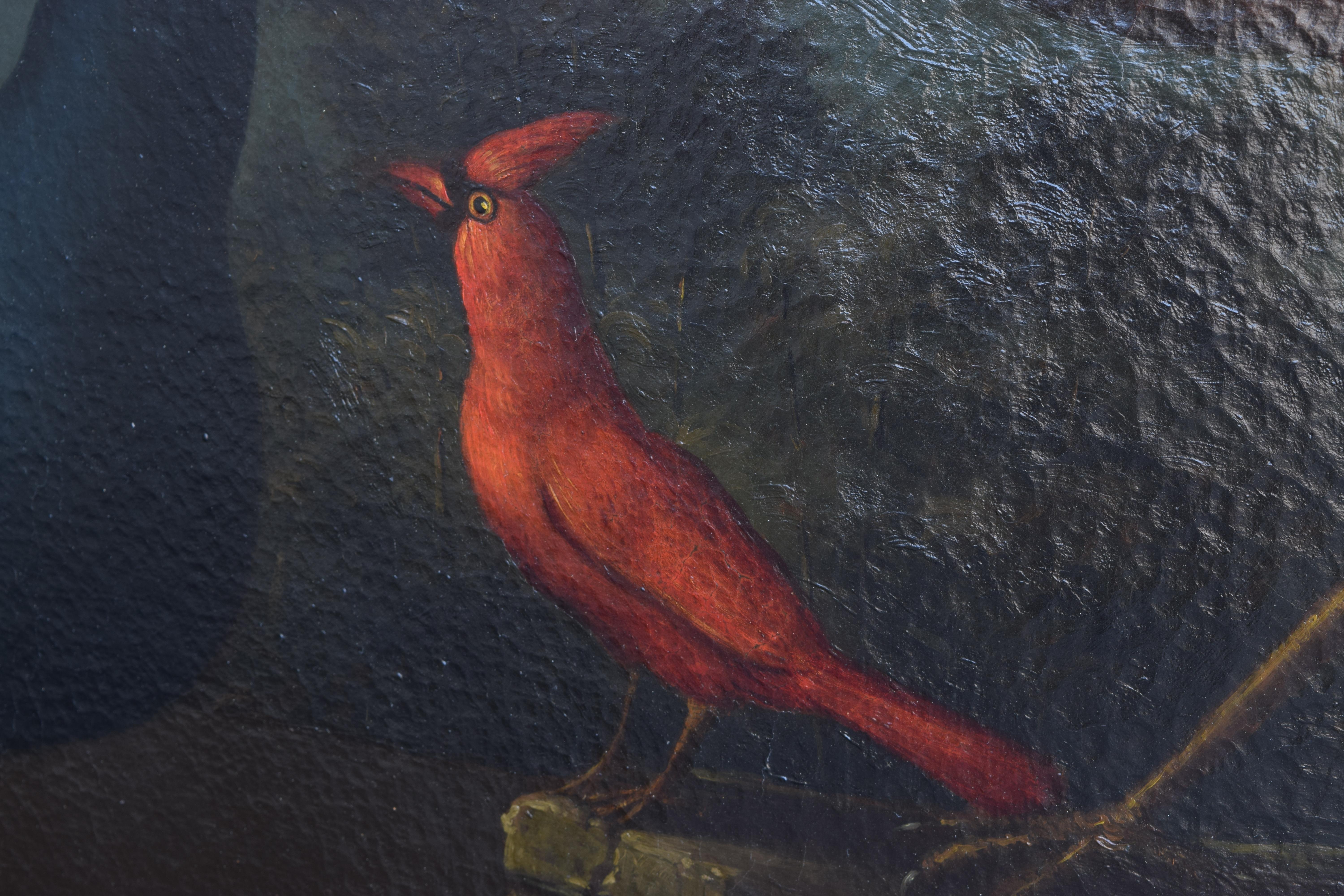 Exceptional Pair of Mid 18th Century Oils on Canvas,  Assembly of Exotic Birds 13