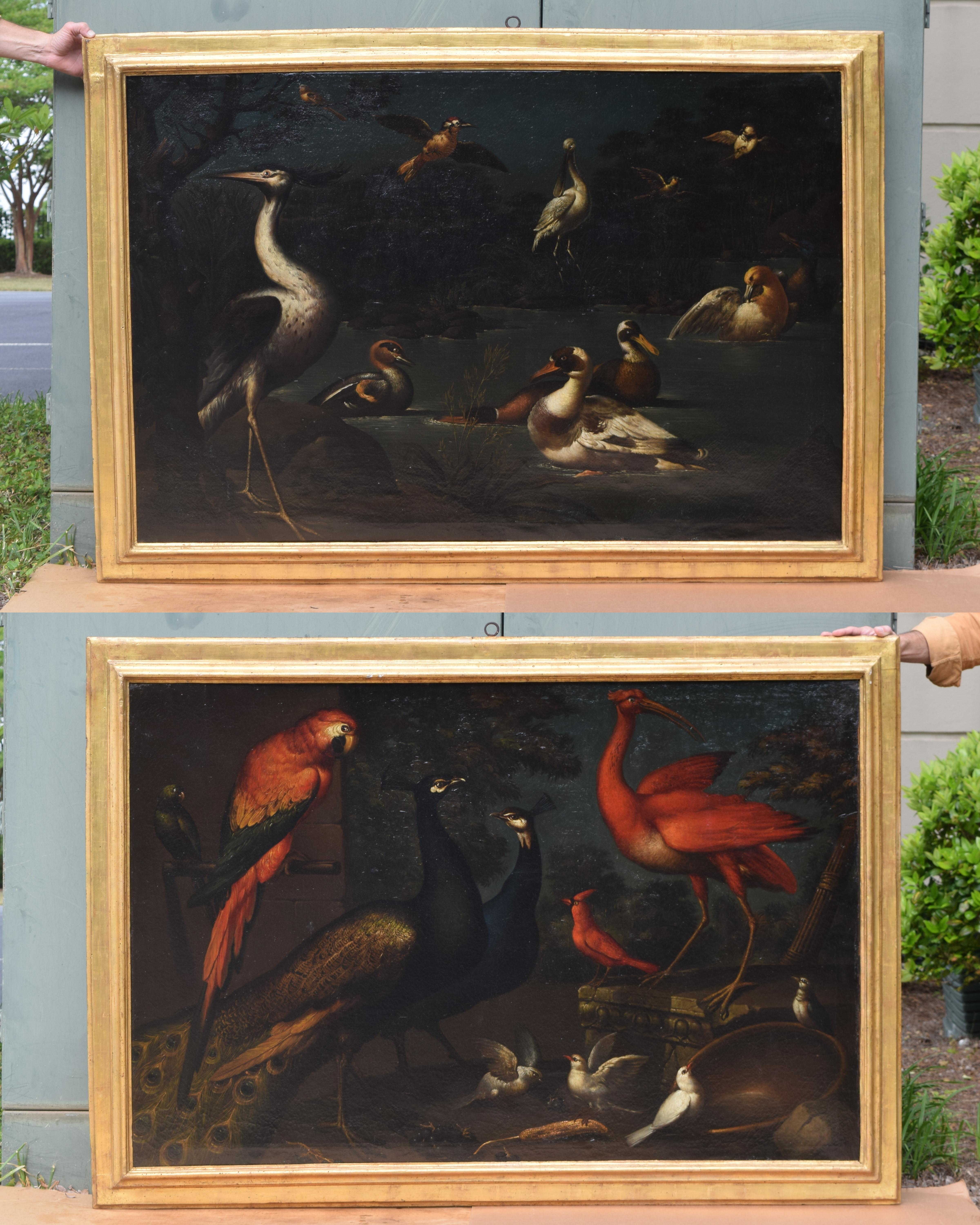 Paintings of exotic birds, fowl, and game animals were popular subjects for artists from the 17th century onward. Quite often the scenes were derived from collections of taxidermy to help create the correct anatomy and scale amongst them. This