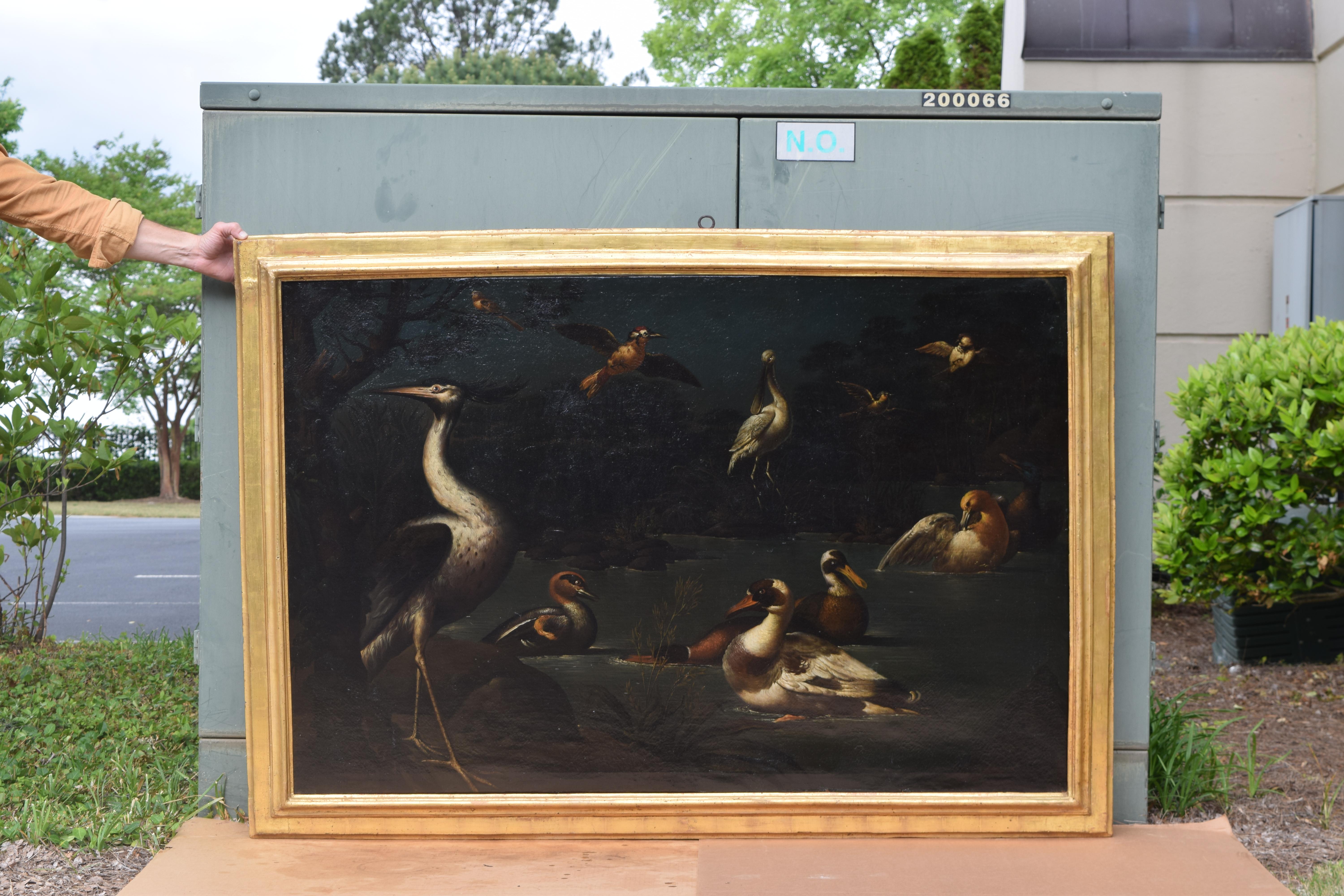 Baroque Exceptional Pair of Mid 18th Century Oils on Canvas,  Assembly of Exotic Birds
