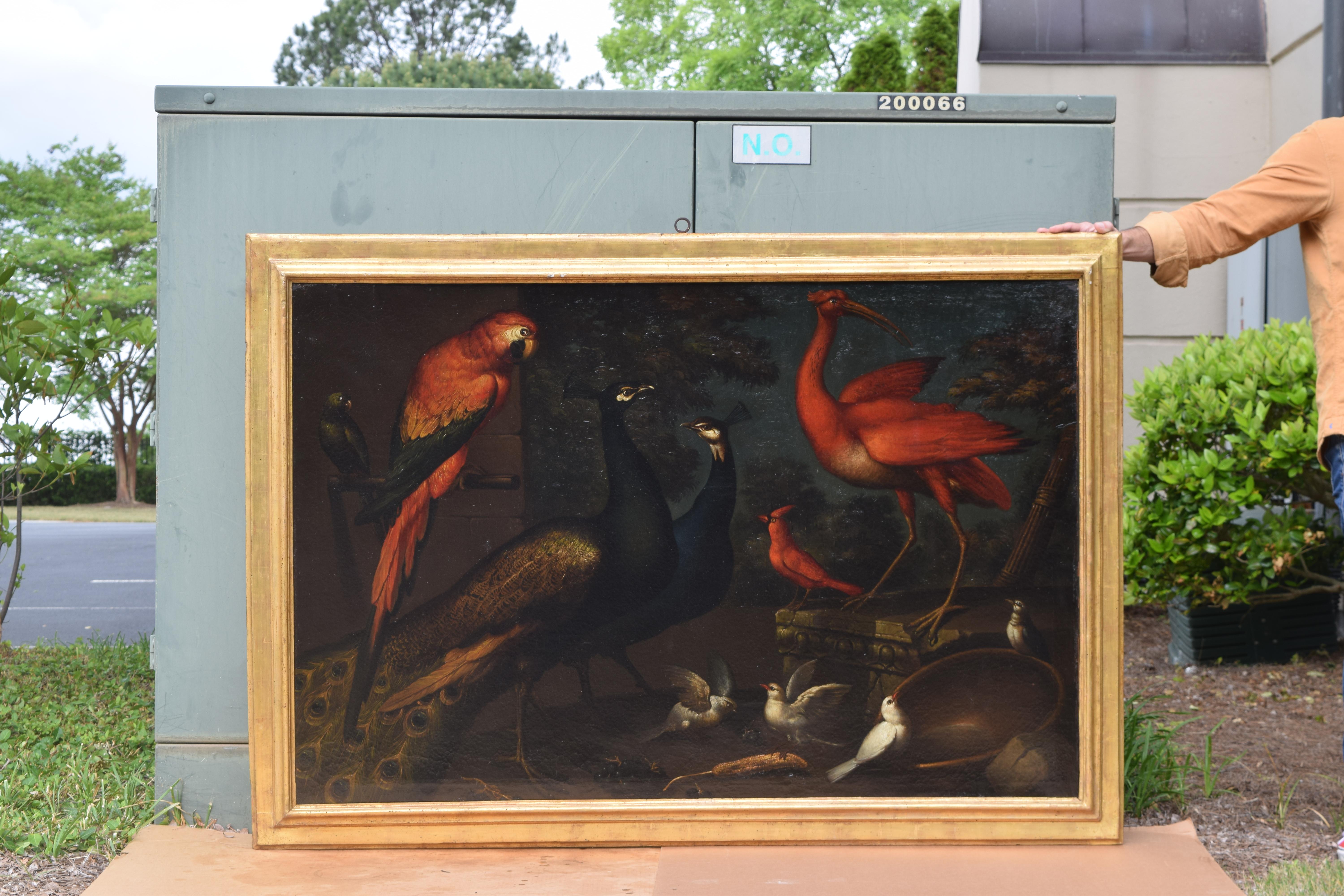 Italian Exceptional Pair of Mid 18th Century Oils on Canvas,  Assembly of Exotic Birds