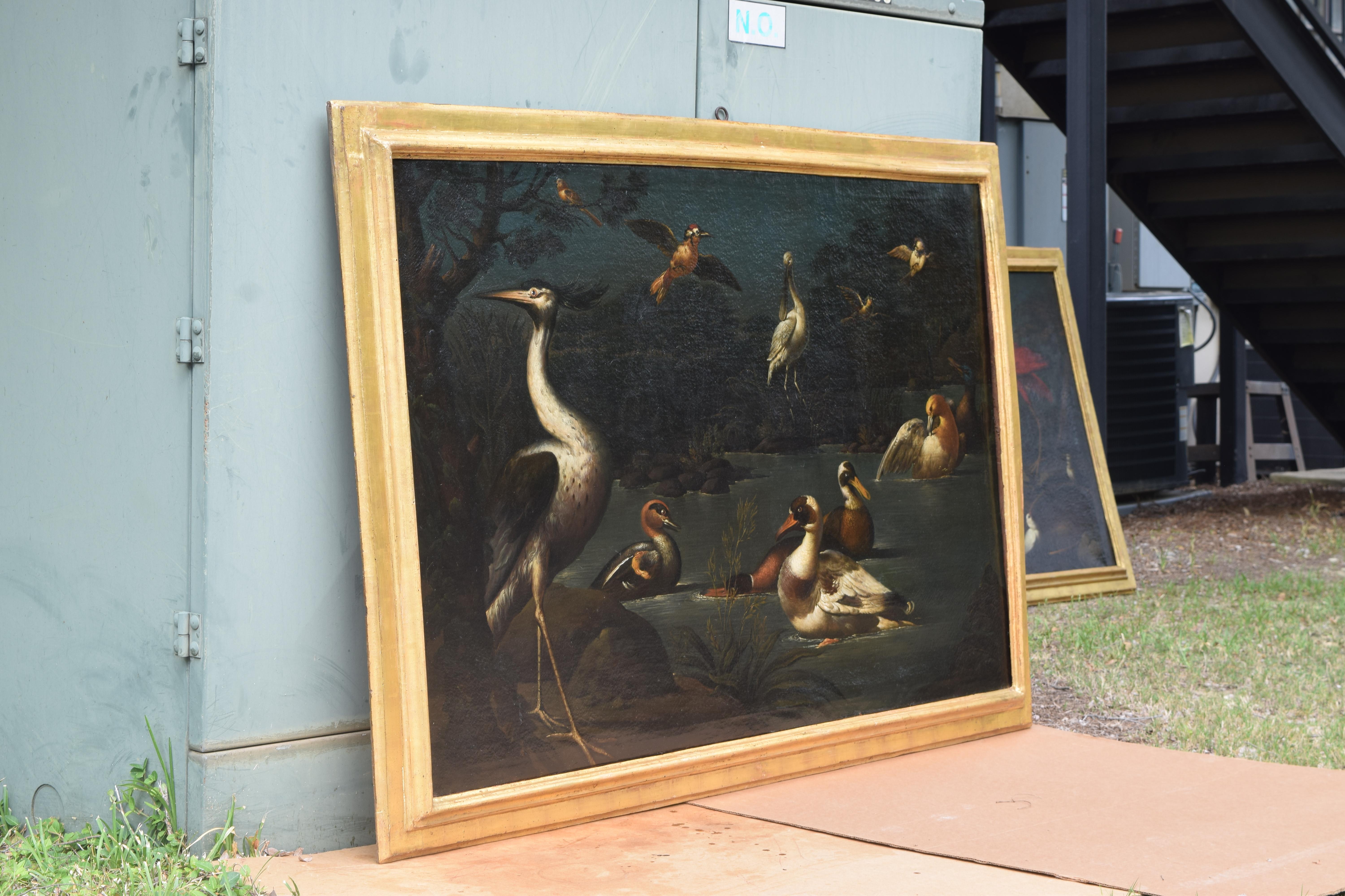 Gilt Exceptional Pair of Mid 18th Century Oils on Canvas,  Assembly of Exotic Birds
