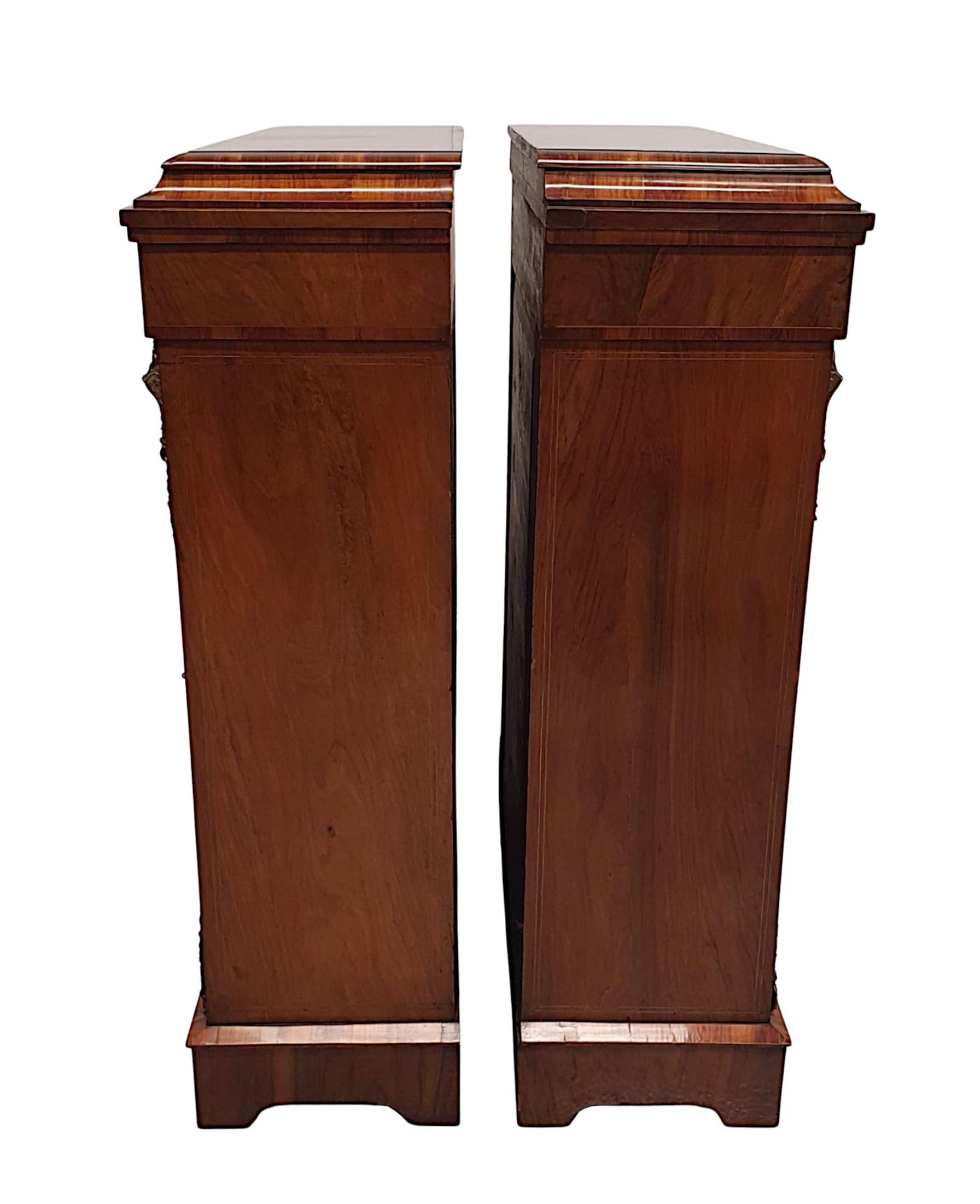 Exceptional Pair of Rare 19th Century Pier Cabinets or Bookcases For Sale 1