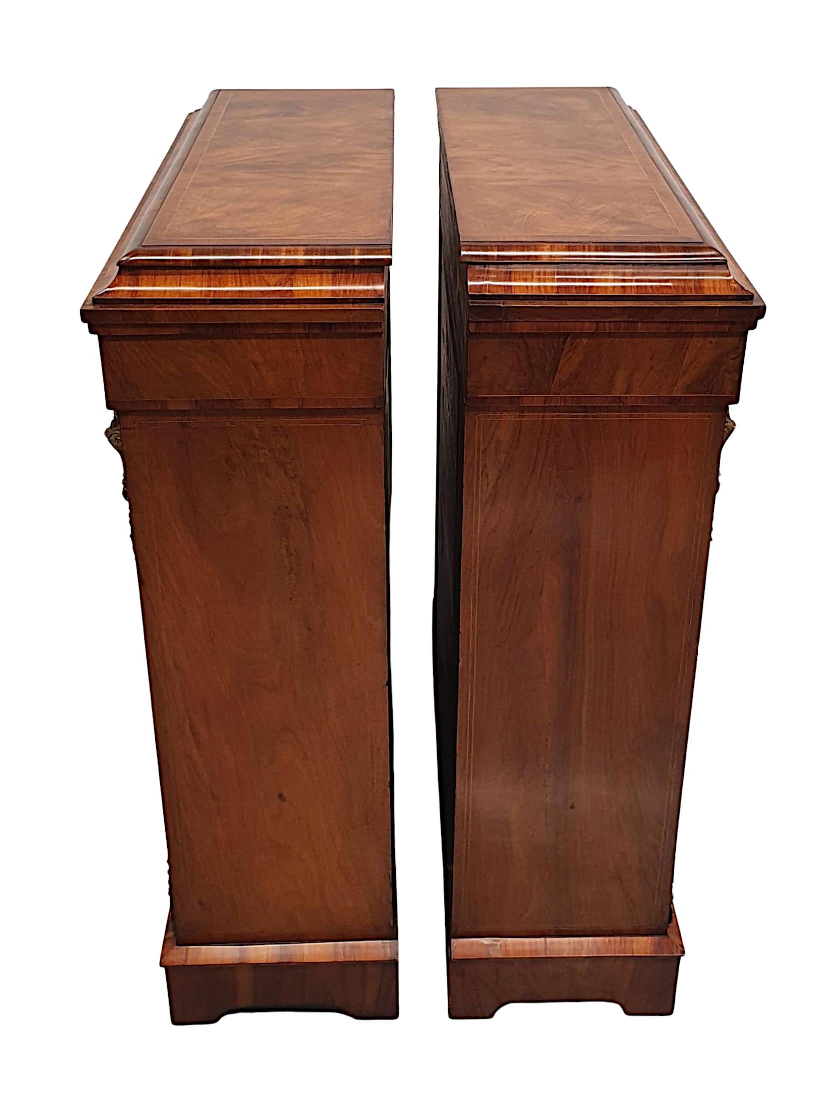 Exceptional Pair of Rare 19th Century Pier Cabinets or Bookcases For Sale 2