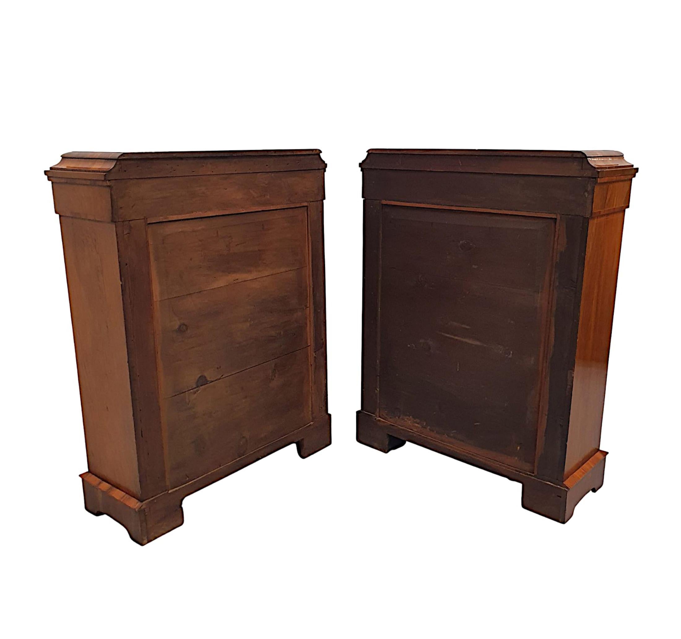 Exceptional Pair of Rare 19th Century Pier Cabinets or Bookcases For Sale 3