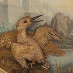 Un eccezionale diorama in paglia di un gufo e di un Kingfisher - Leverian Museum