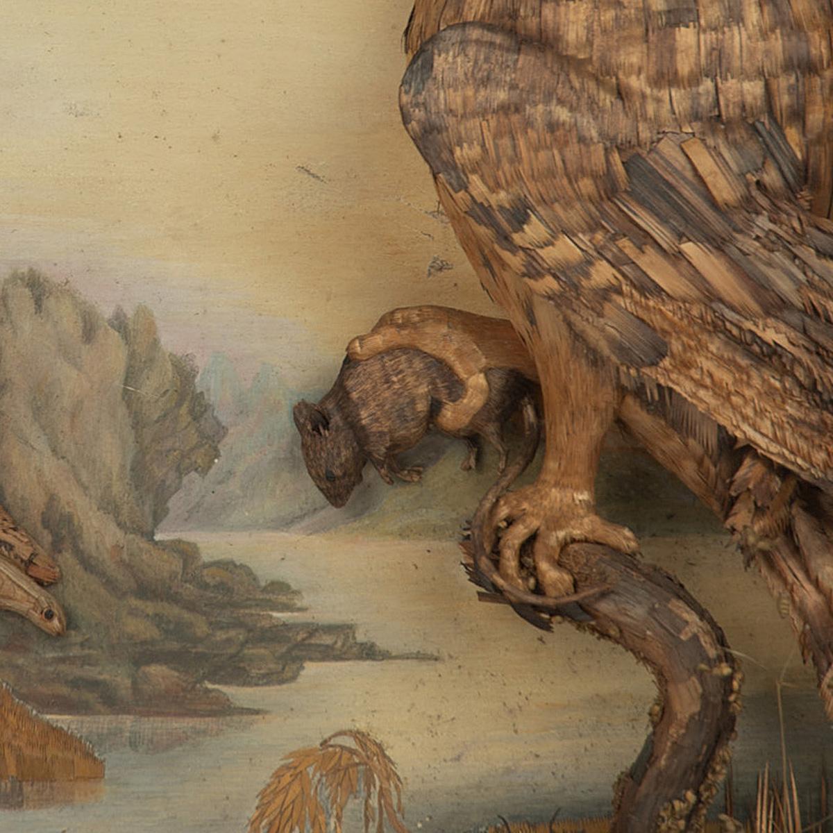 owl diorama