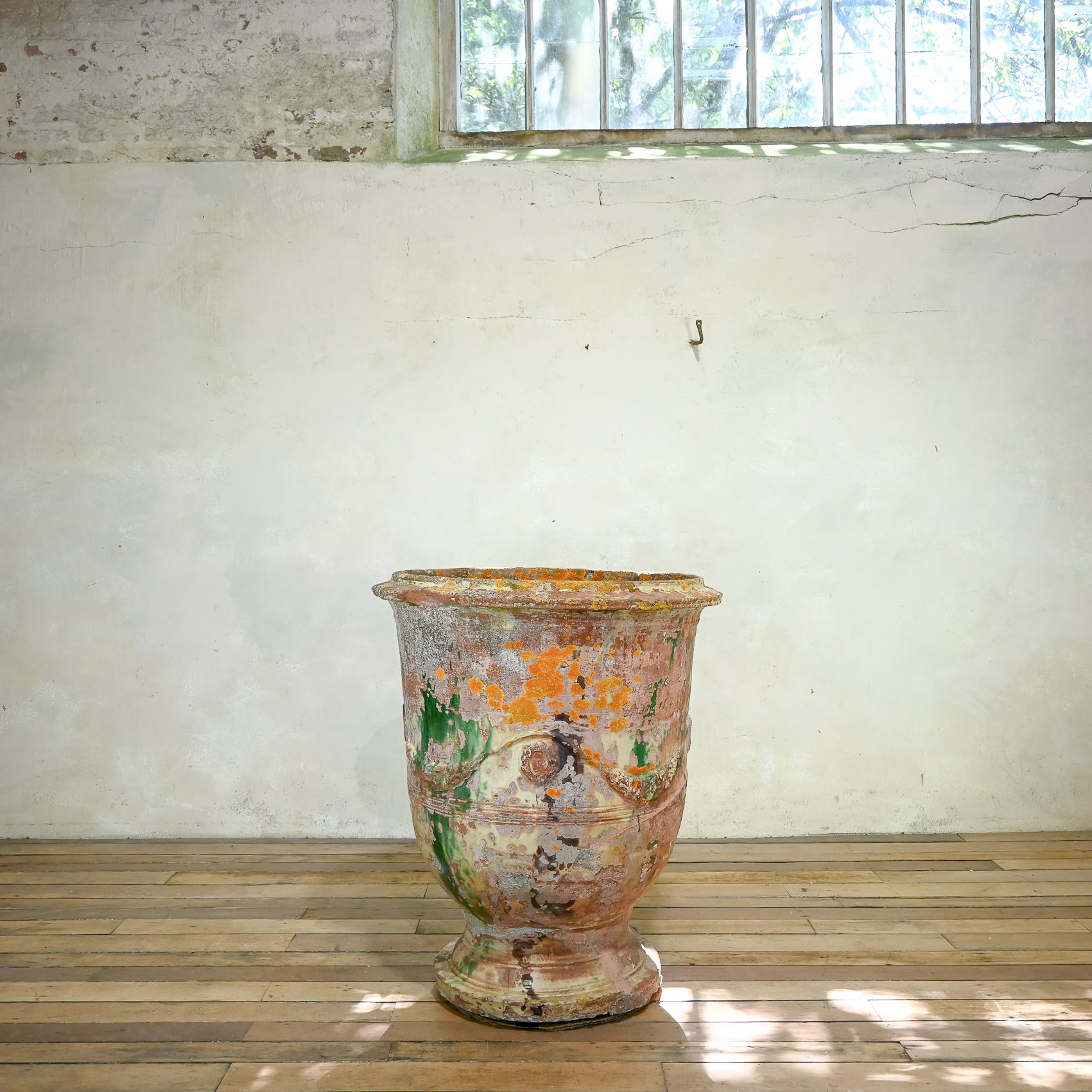Fioriera in terracotta francese del XIX secolo di dimensioni eccezionali, Boisset in vendita 13