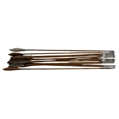 Antique An exquisite collection of thirteen Indian arrows