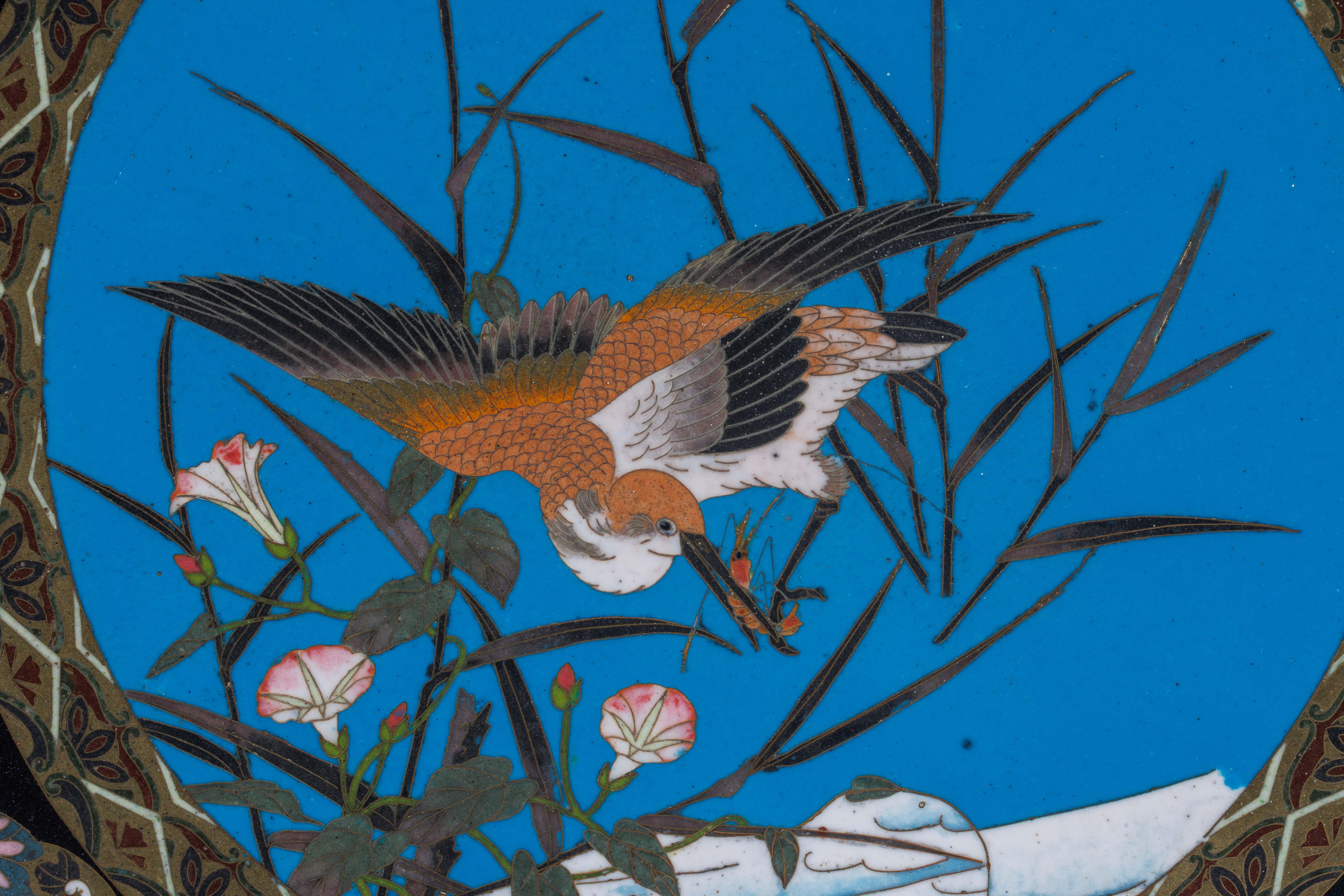 Una squisita grande coppia di piatti in smalto cloisonné del periodo Meiji con tsubas in vendita 1