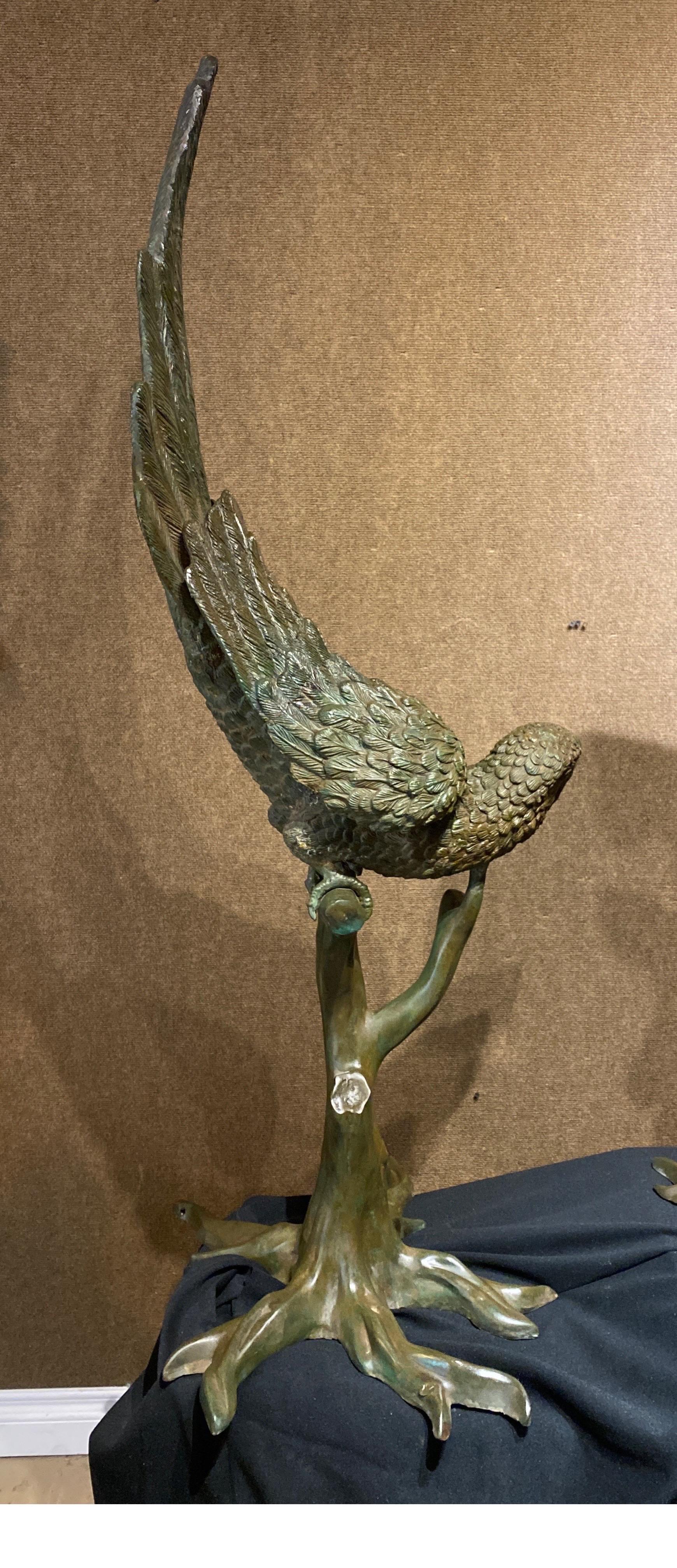 Austrian Extraordinary Bronze Pair of Male & Female Parrots on Branches, circa 1900