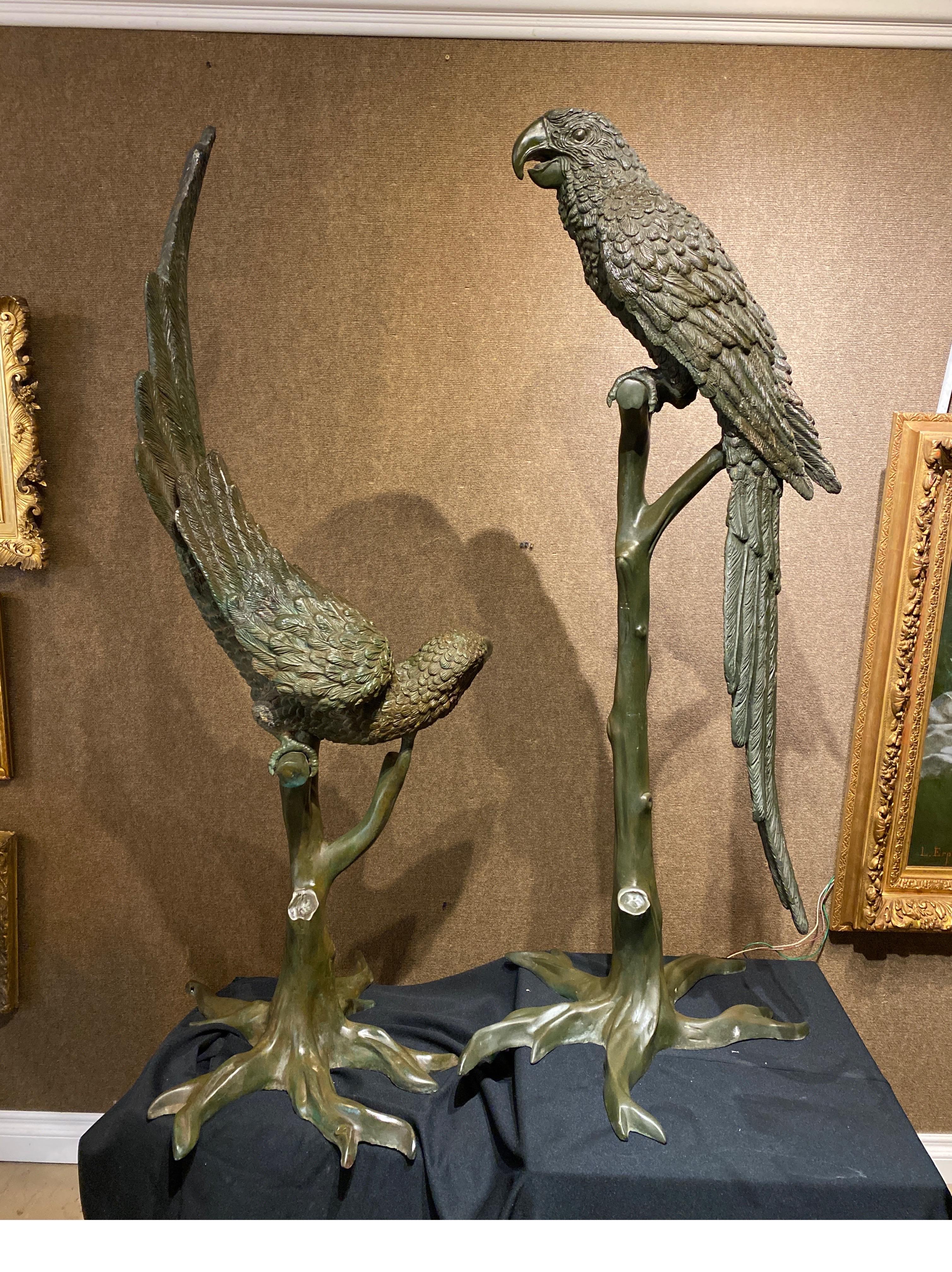 Patinated Extraordinary Bronze Pair of Male & Female Parrots on Branches, circa 1900