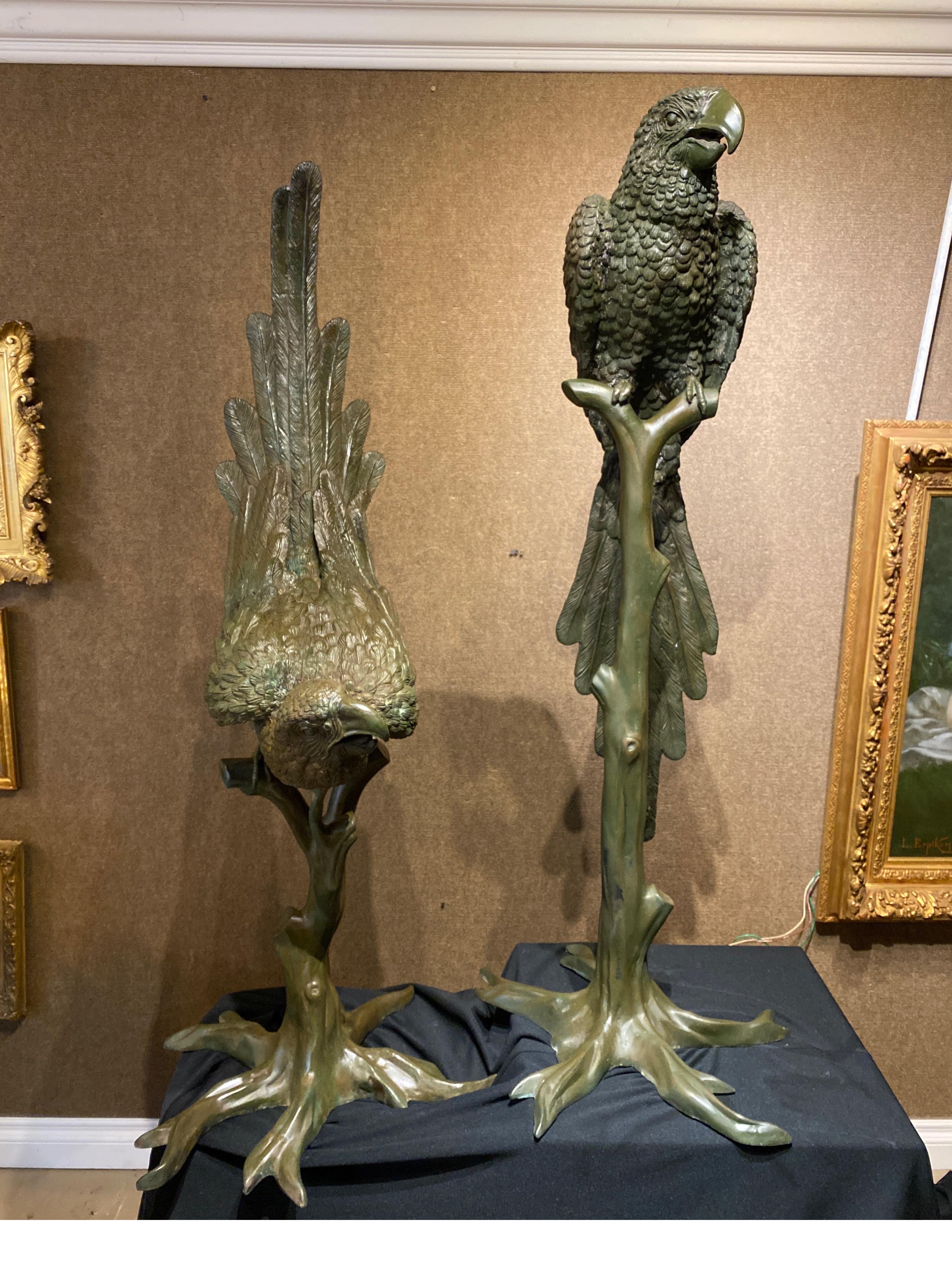 Extraordinary Bronze Pair of Male & Female Parrots on Branches, circa 1900 1