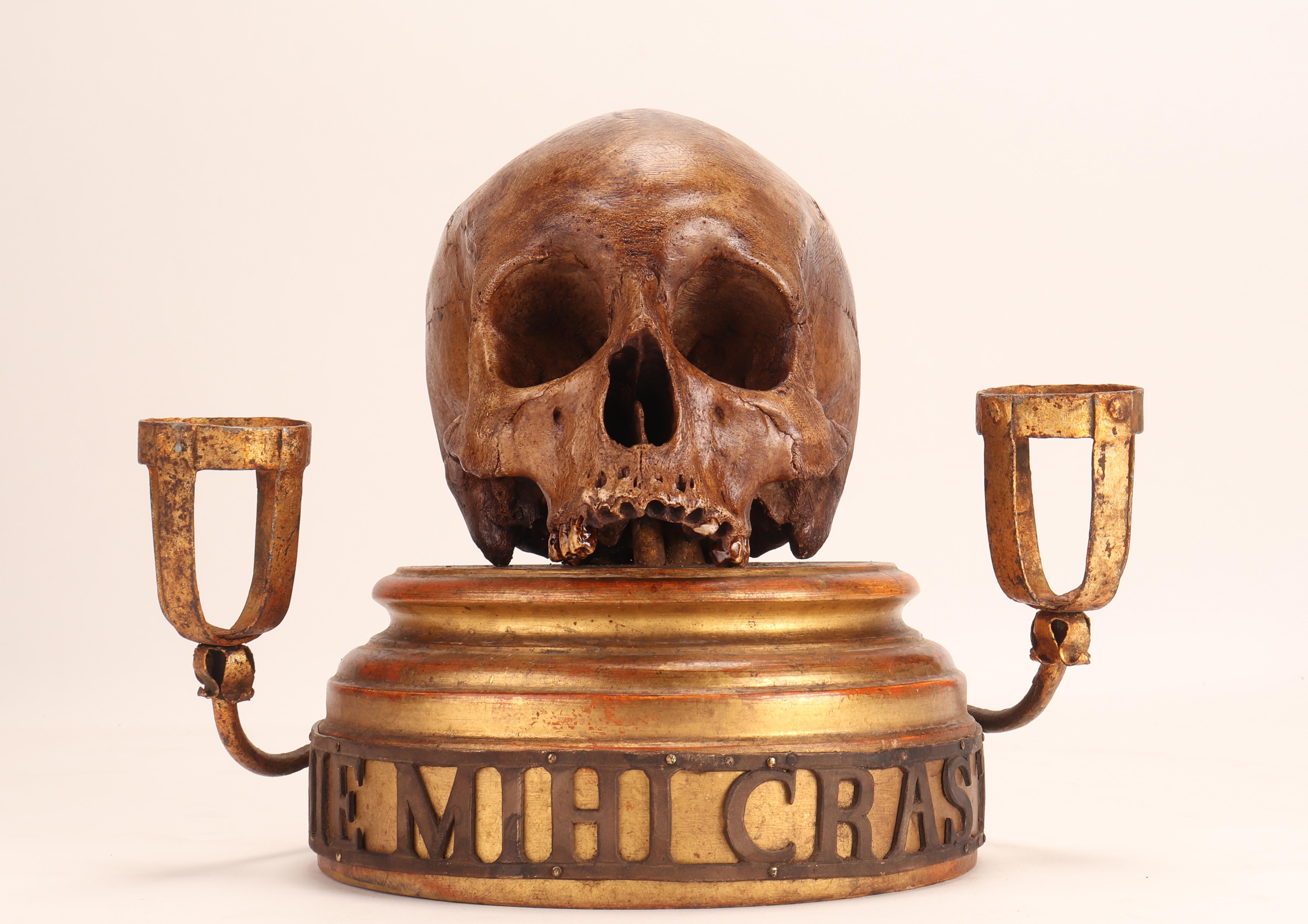 A plaster sculpture depicting a skull is placed above the base of a plinth in the shape of a column, made of fir wood and finished with pastiglia (refined plaster) and gilded gold.
Above the top of the base, the skull is fixed.
Around the first