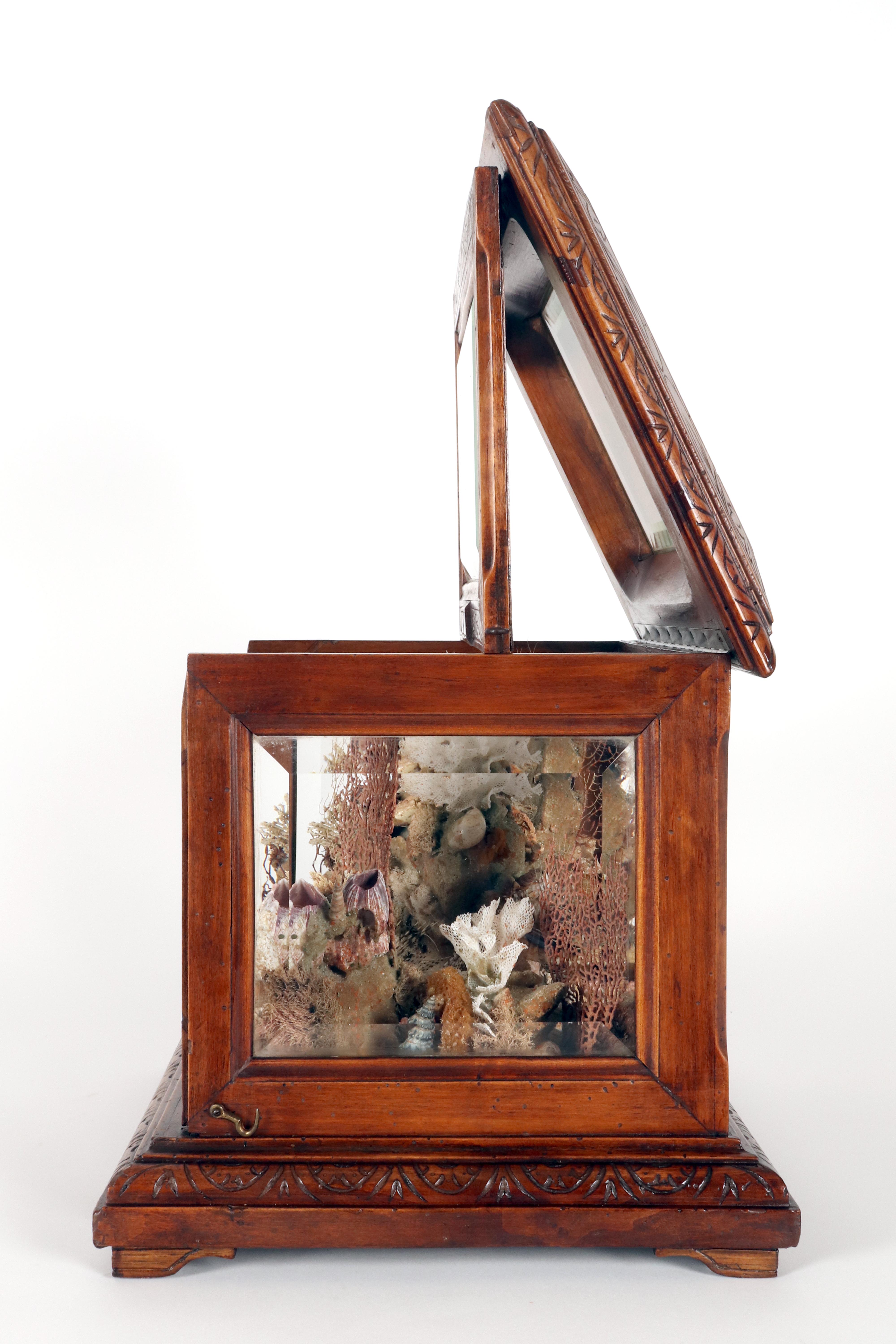 Importante diorama que representa un ambiente marino, Italia hacia 1830. en venta 9