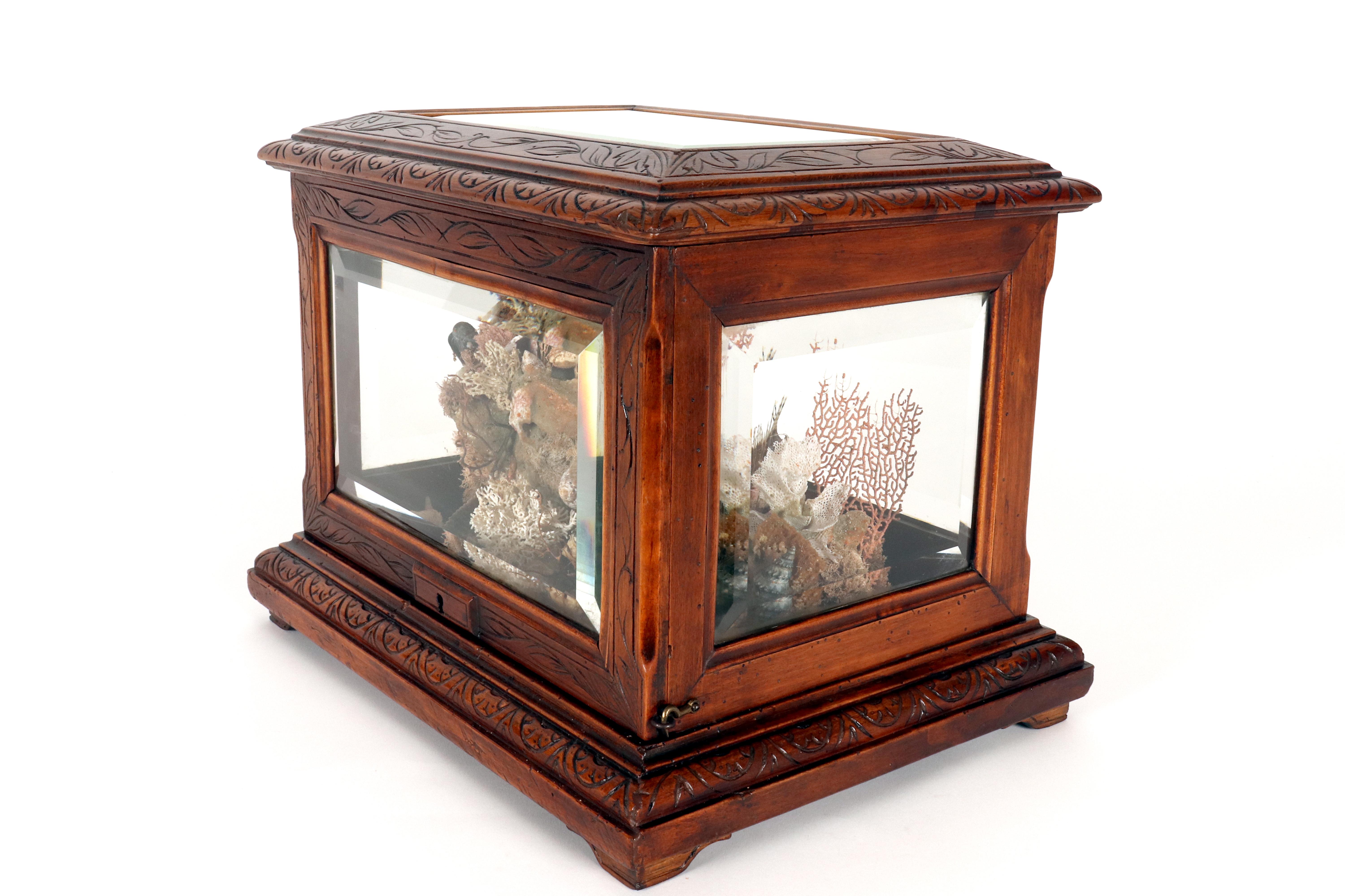 Importante diorama que representa un ambiente marino, Italia hacia 1830. en venta 10