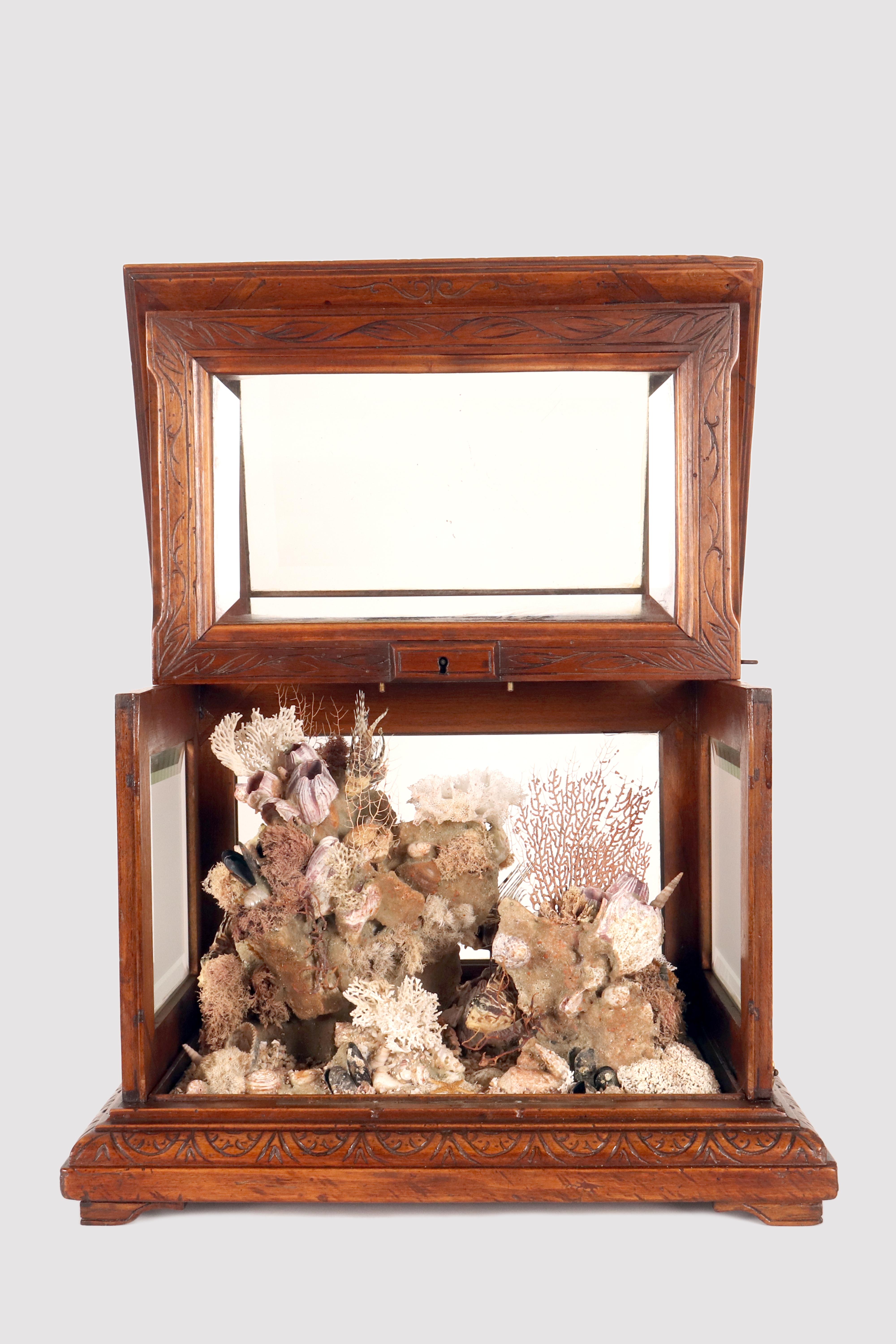 Importante diorama italiano en vitrina rectangular que representa un complejo entorno marino. El gran armario de madera, fabricado en nogal italiano, tiene forma de paralelepípedo, con cuatro lados de cristal tallado y una tapa también de cristal.