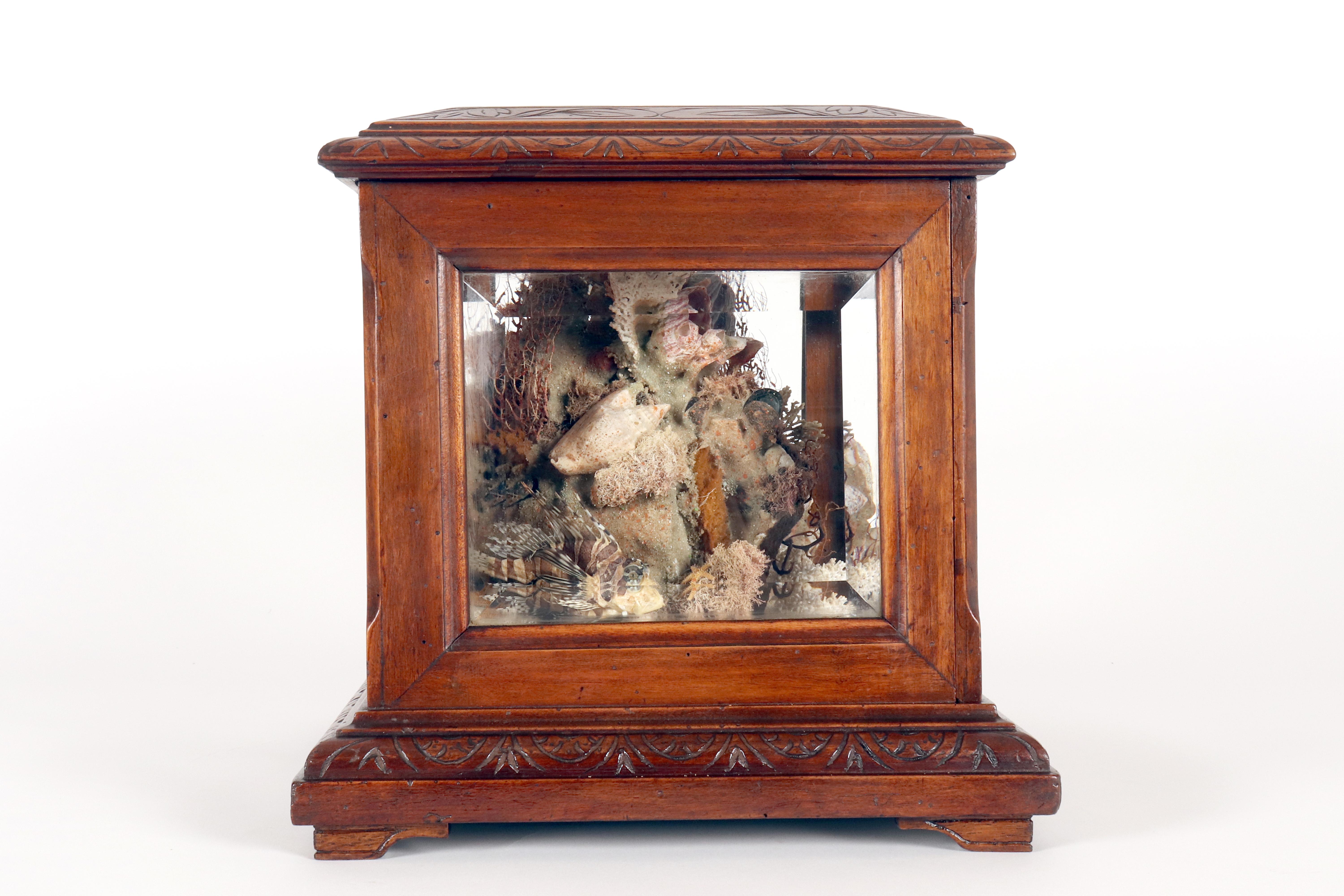 Importante diorama que representa un ambiente marino, Italia hacia 1830. en Bueno estado para la venta en Milan, IT