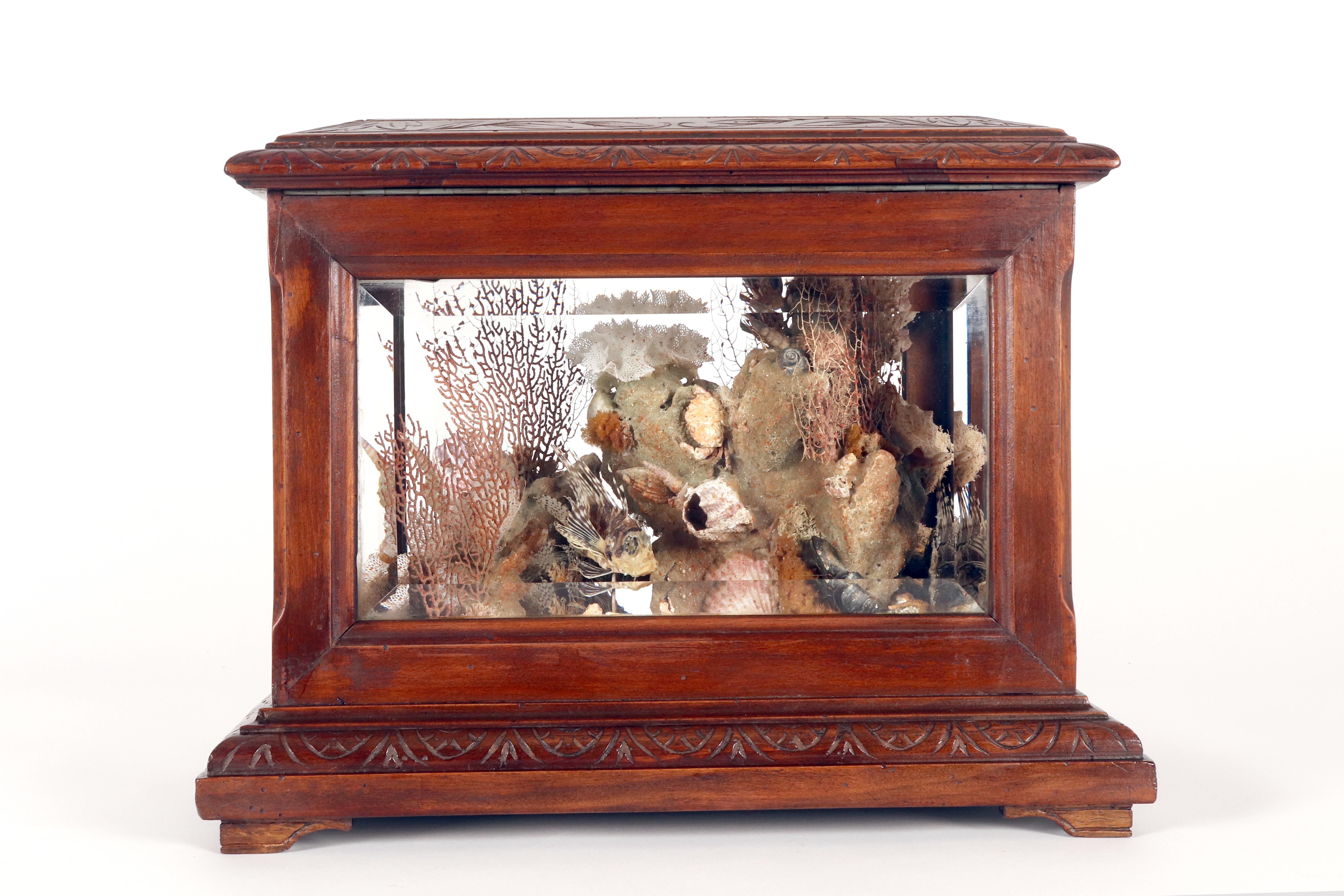 Importante diorama que representa un ambiente marino, Italia hacia 1830. principios del siglo XIX en venta