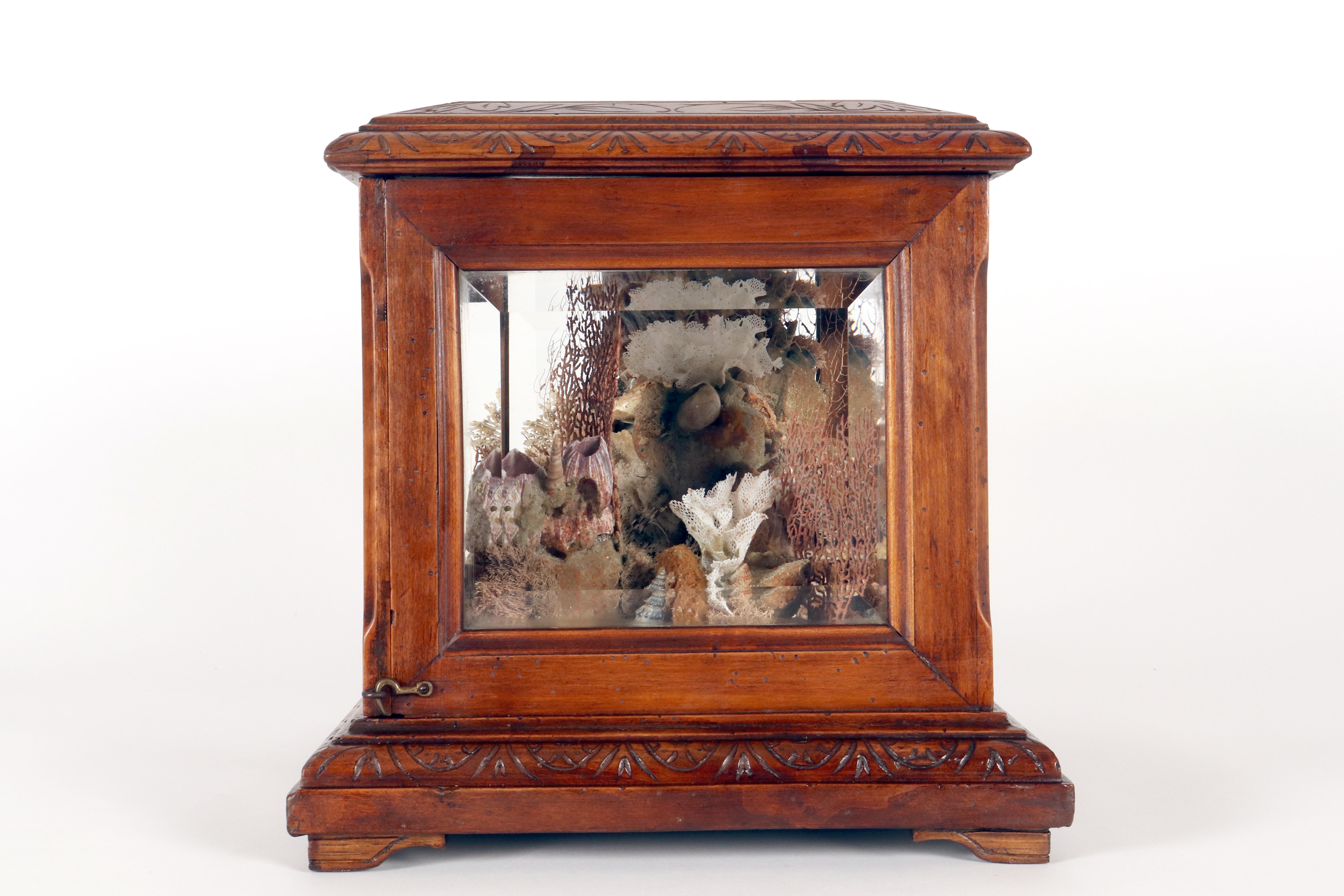 Importante diorama que representa un ambiente marino, Italia hacia 1830. Vidrio en venta