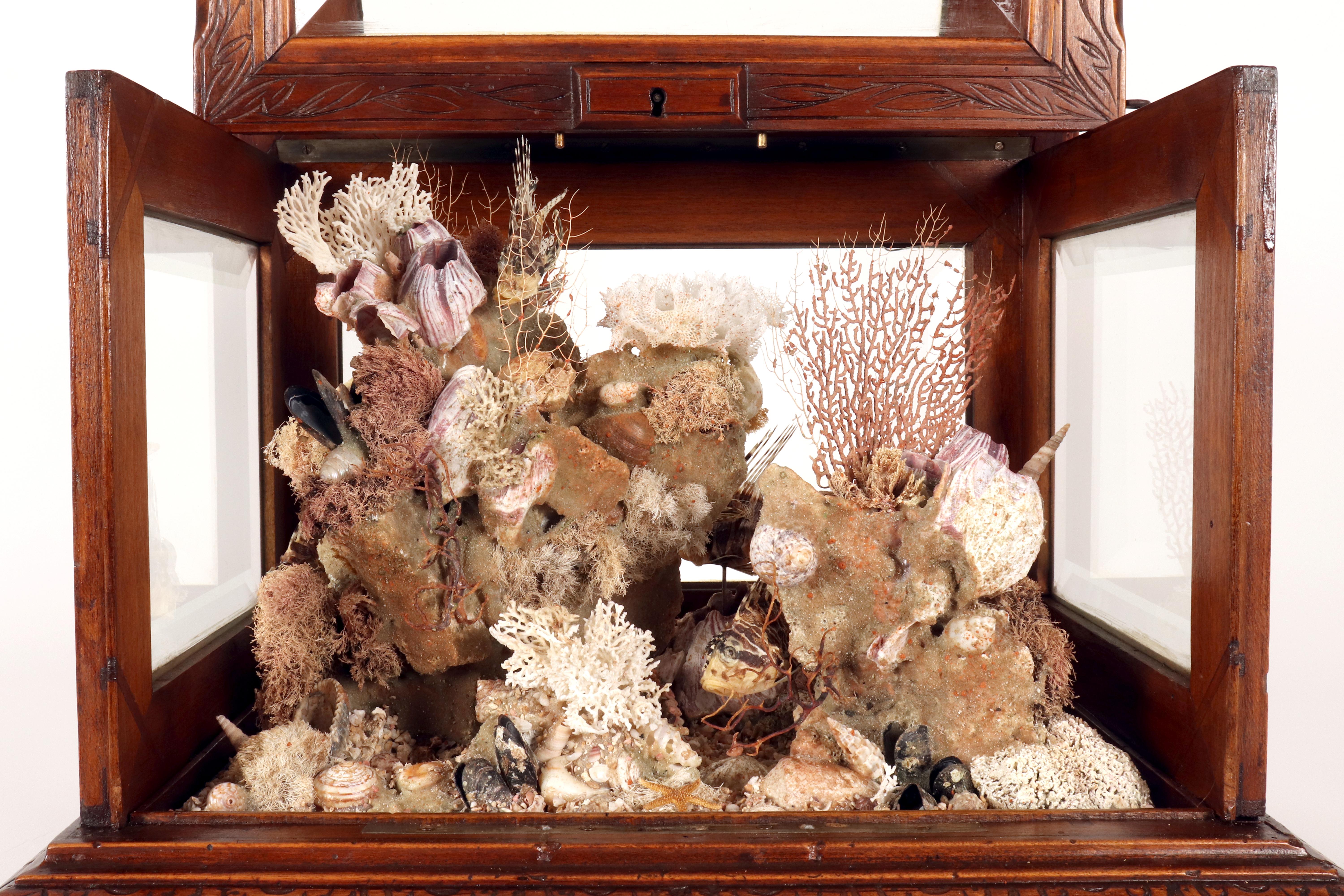 Importante diorama que representa un ambiente marino, Italia hacia 1830. en venta 1