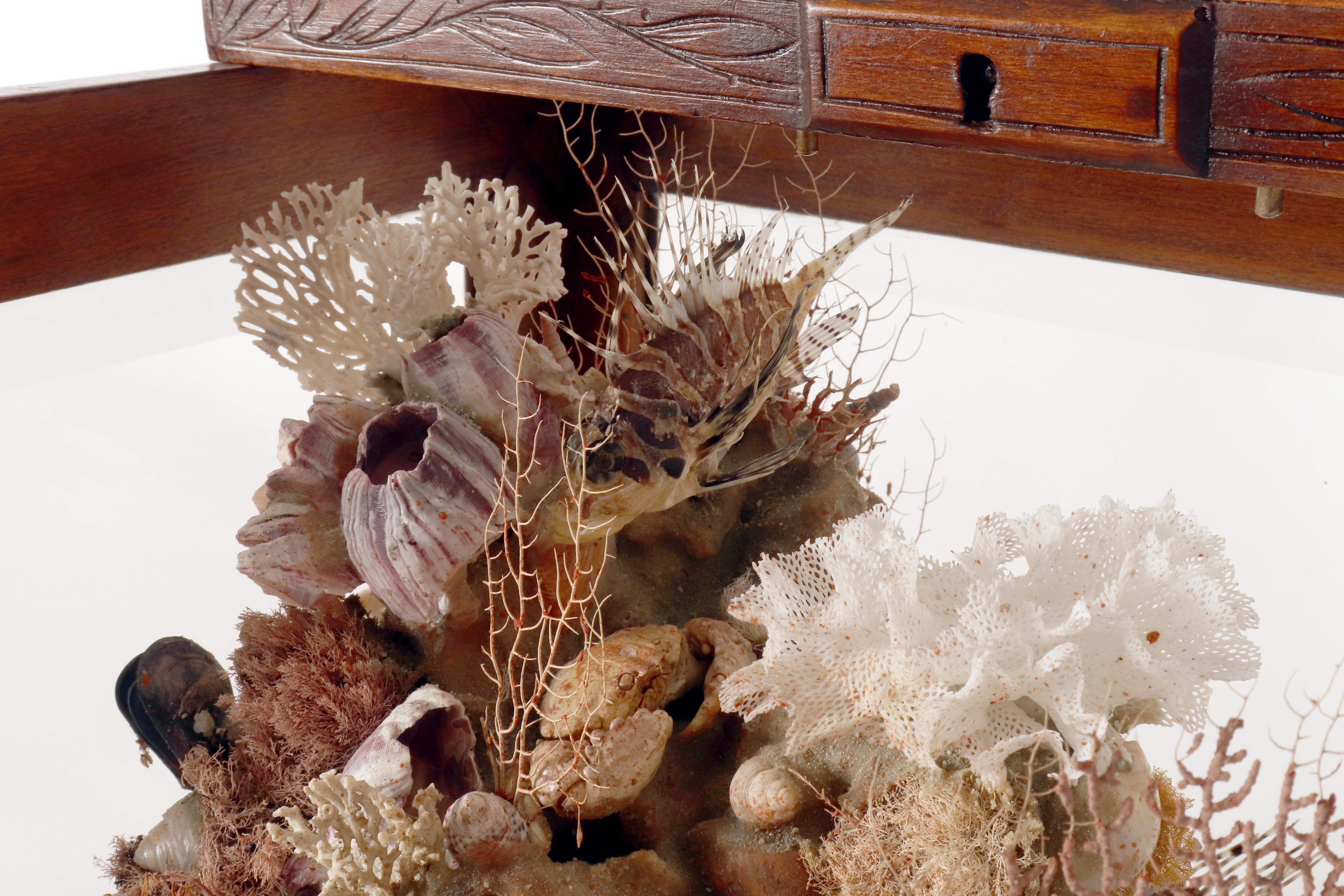 Importante diorama que representa un ambiente marino, Italia hacia 1830. en venta 2