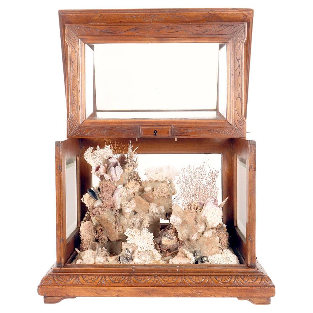Importante diorama que representa un ambiente marino, Italia hacia 1830. en venta