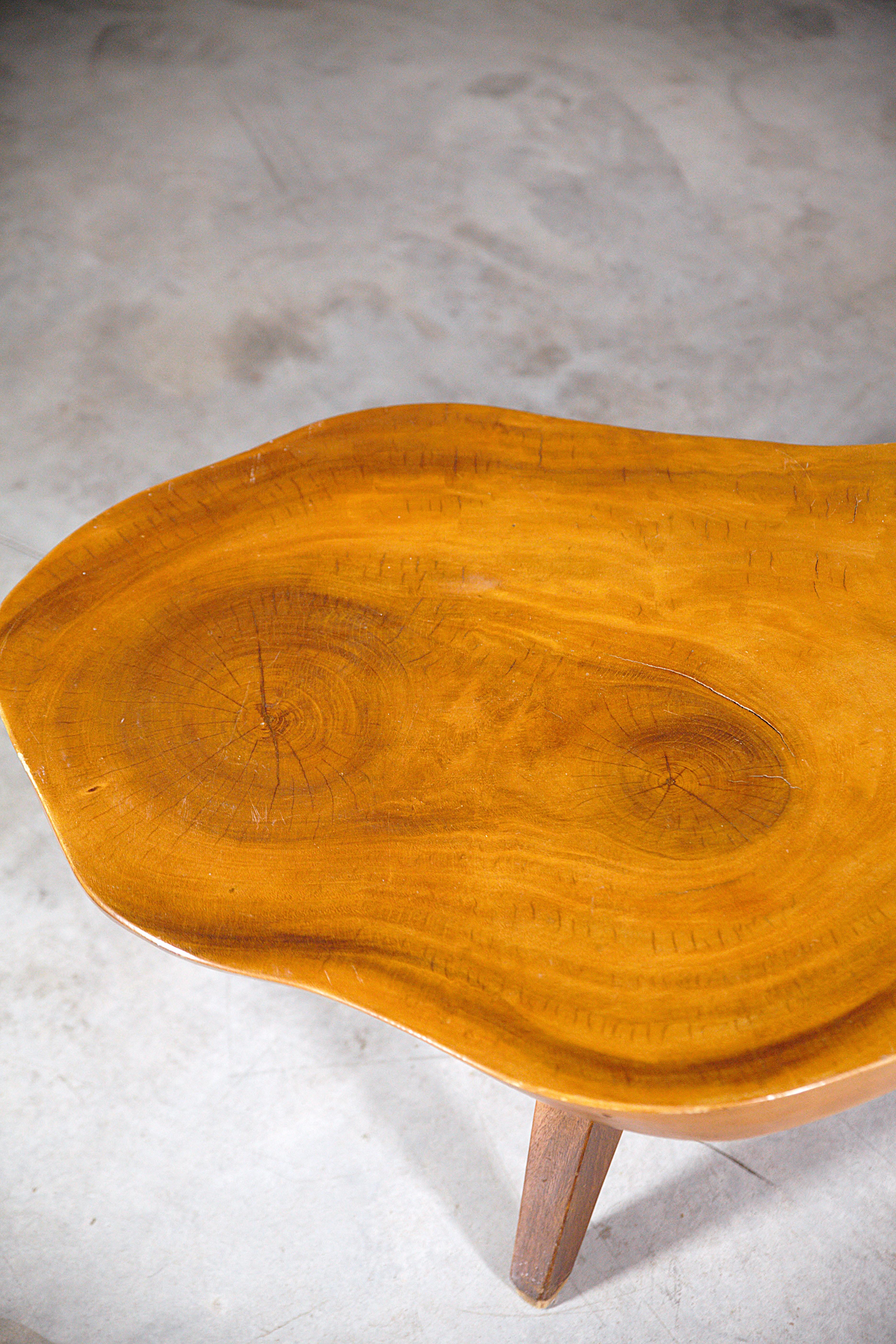 Impressionnante table basse de forme organique Brésil 1950 en vente 12