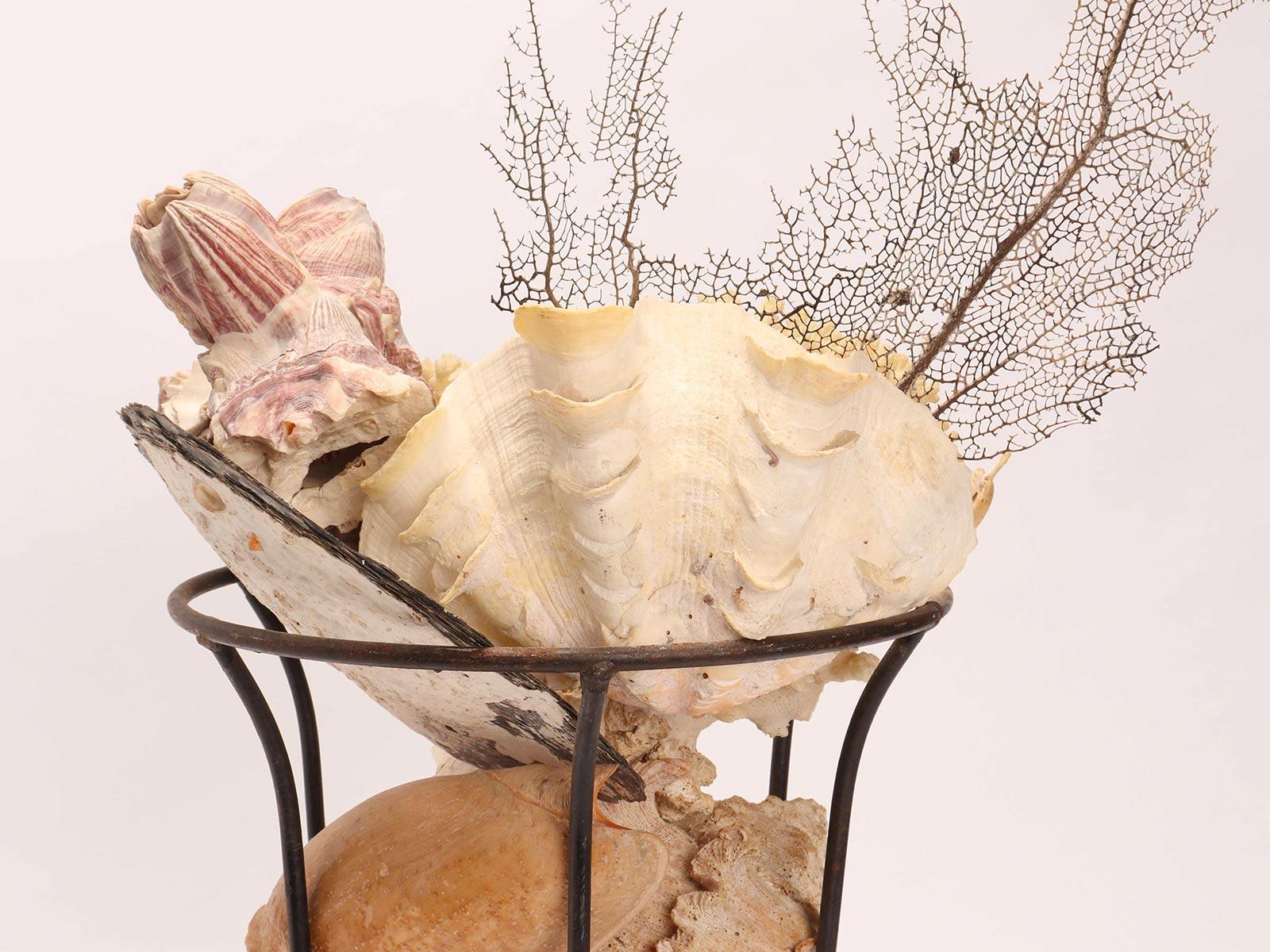 Shell An iron vase full of shells, France circa 1890. For Sale