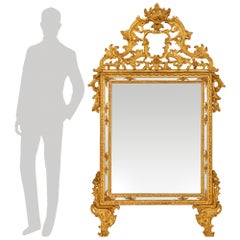 An Italian 18th century Louis XIV Period Giltwood mirror