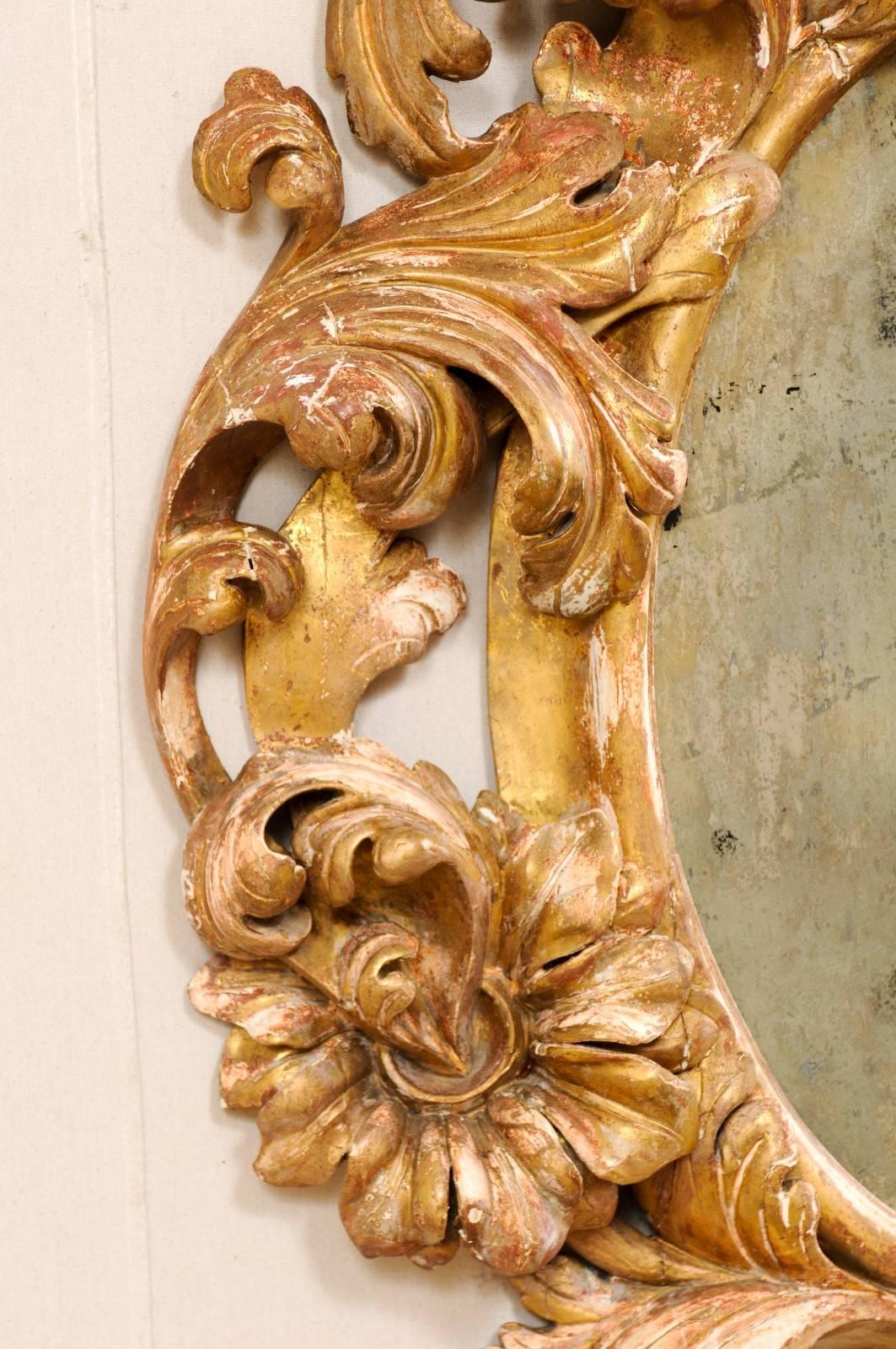 Italian 18th Century Richly Carved Acanthus Leaf Giltwood Antiqued Mirror 1
