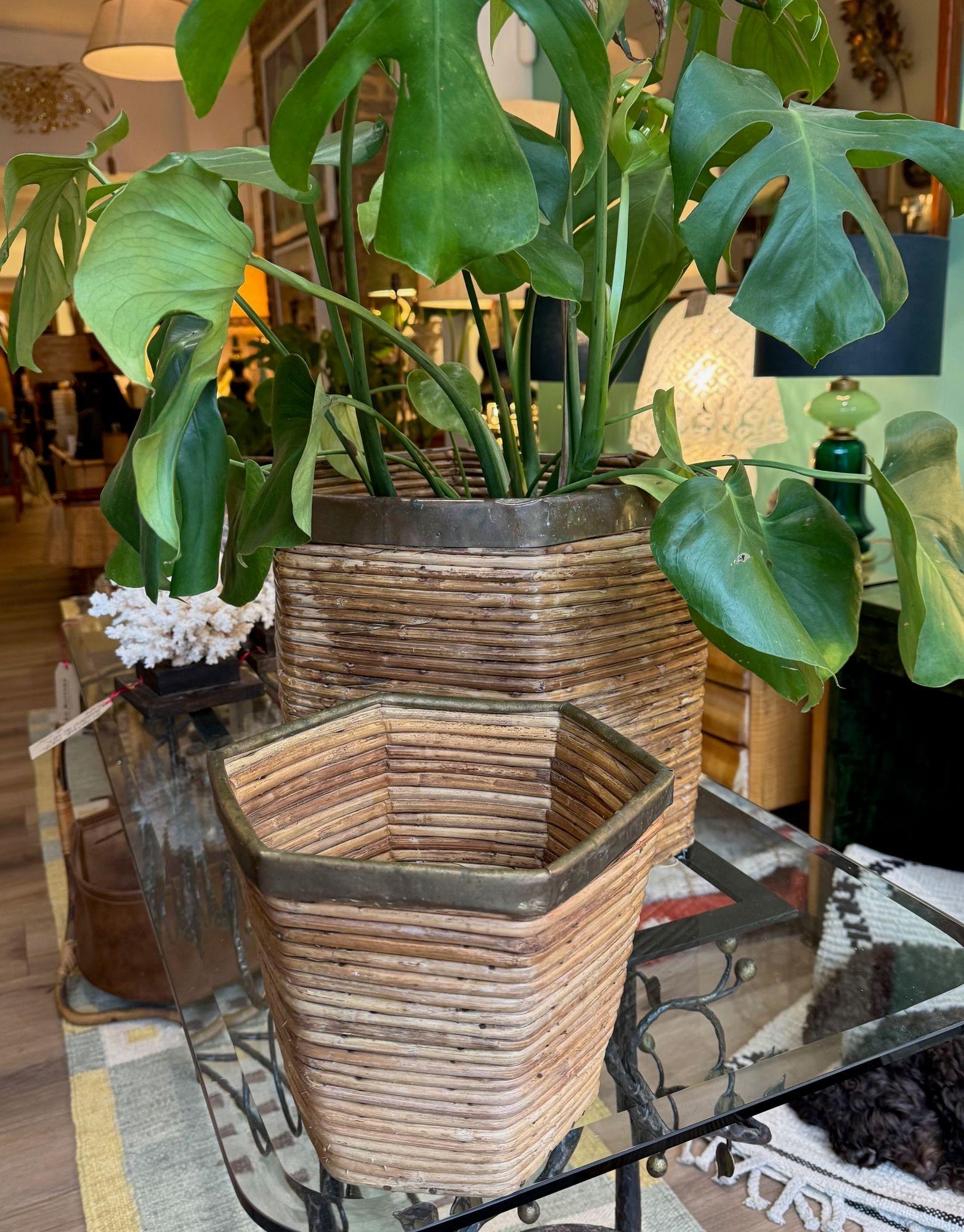 italien Jardinière hexagonale en bambou tressé en roseau, avec couvercle en laiton, datant des années 1970. en vente