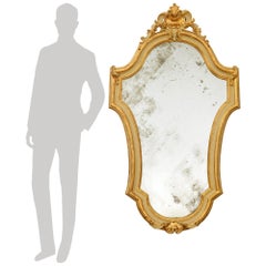 An Italian 19th century Baroque st. patinated Wood and Giltwood mirror