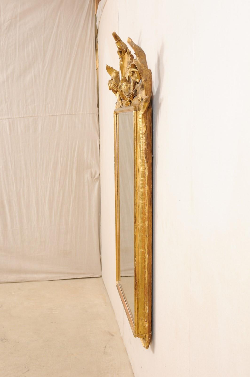 An Italian 5.5 Ft Tall Carved Giltwood Wall Mirror, from the Early 20th Century  7