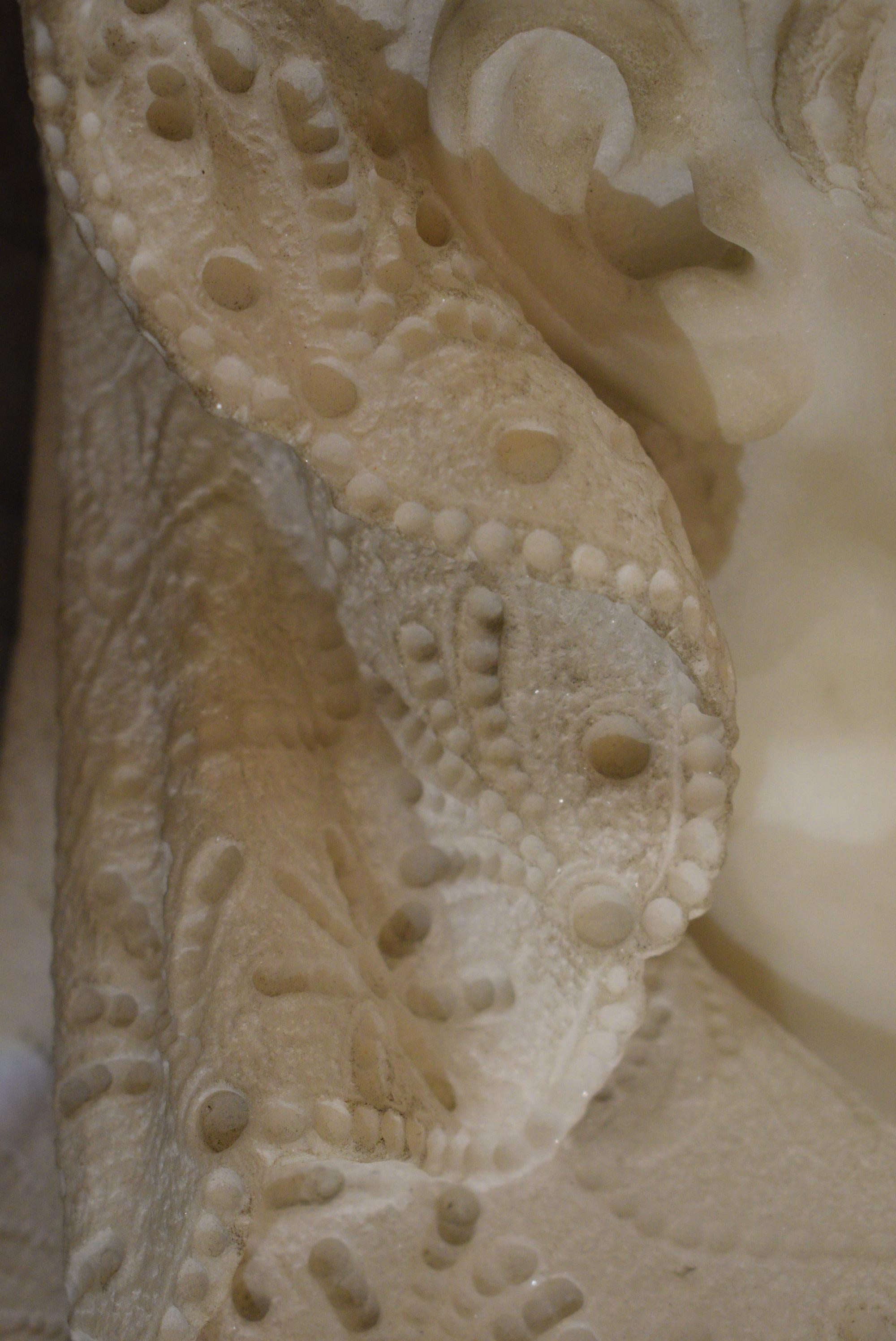 Italian Carrara Marble Bust of a Woman, 19th Century 4