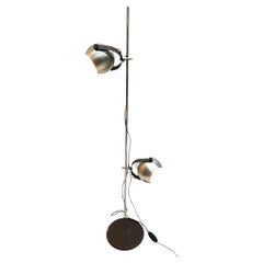 Italian Goffredo Reggiani Floor Lamp, 1960s