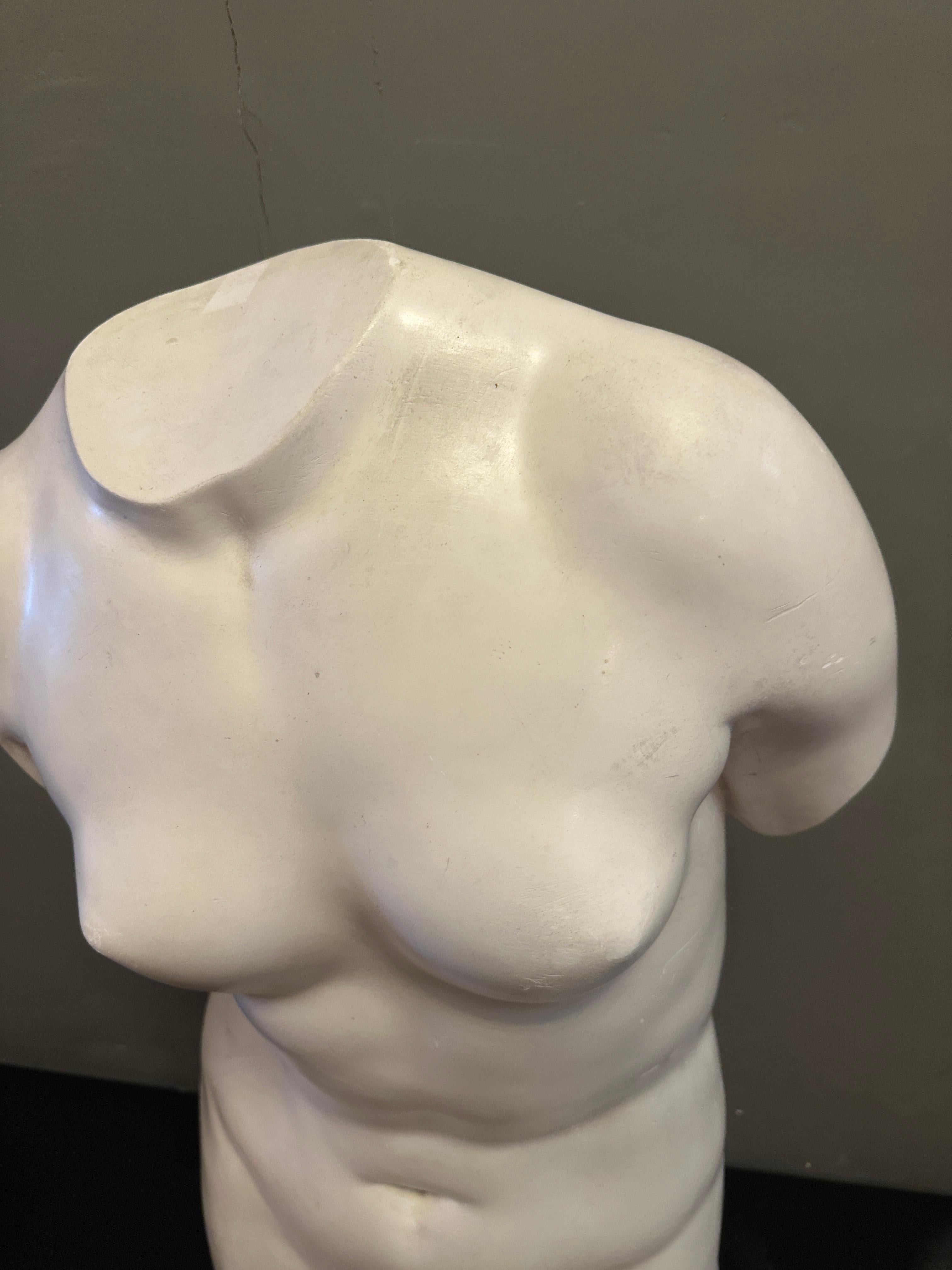 Torso italiano de escayola de tamaño natural de Venus de Milo en venta 3