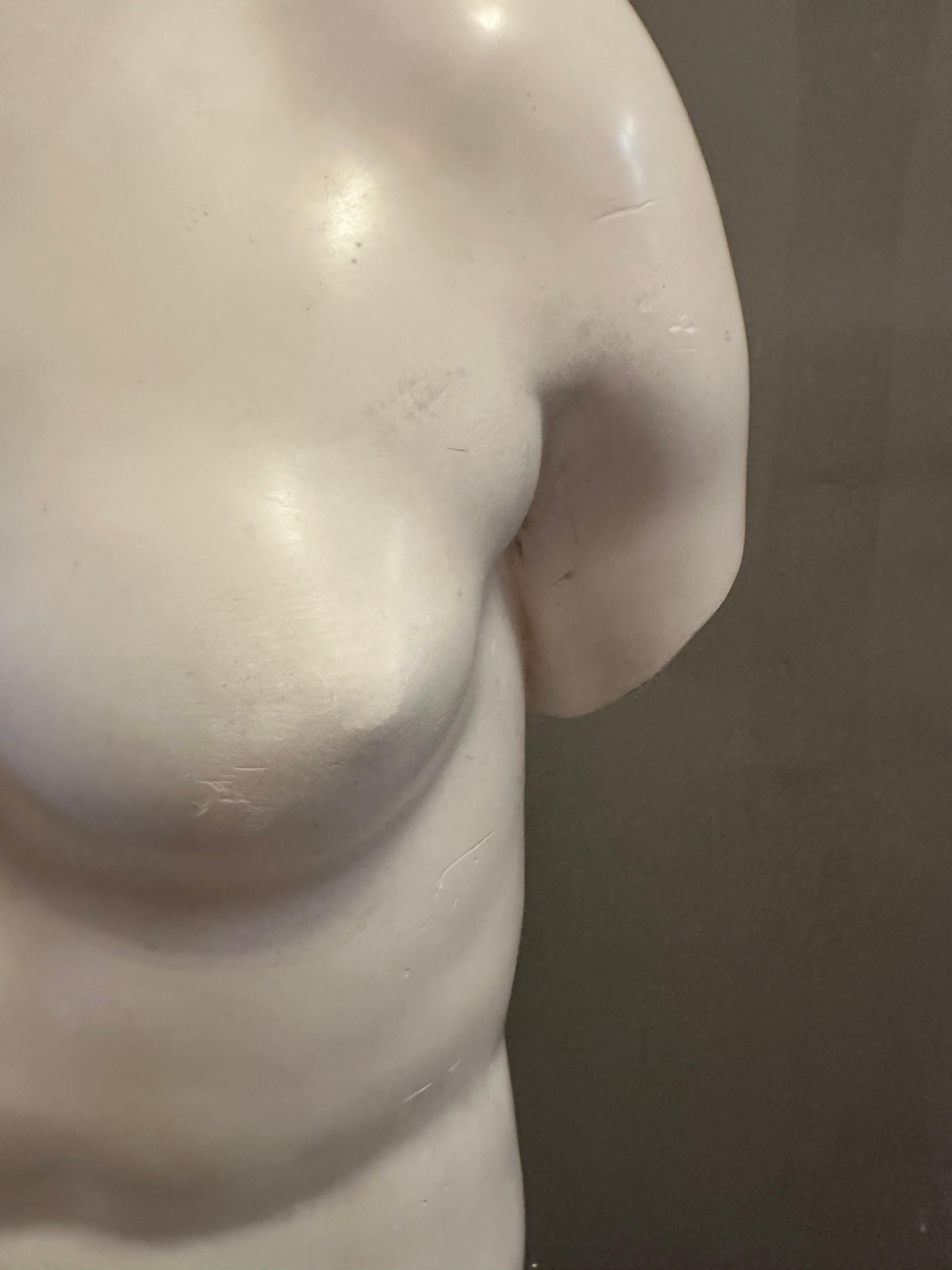 Torso italiano de escayola de tamaño natural de Venus de Milo en Bueno estado para la venta en London, GB