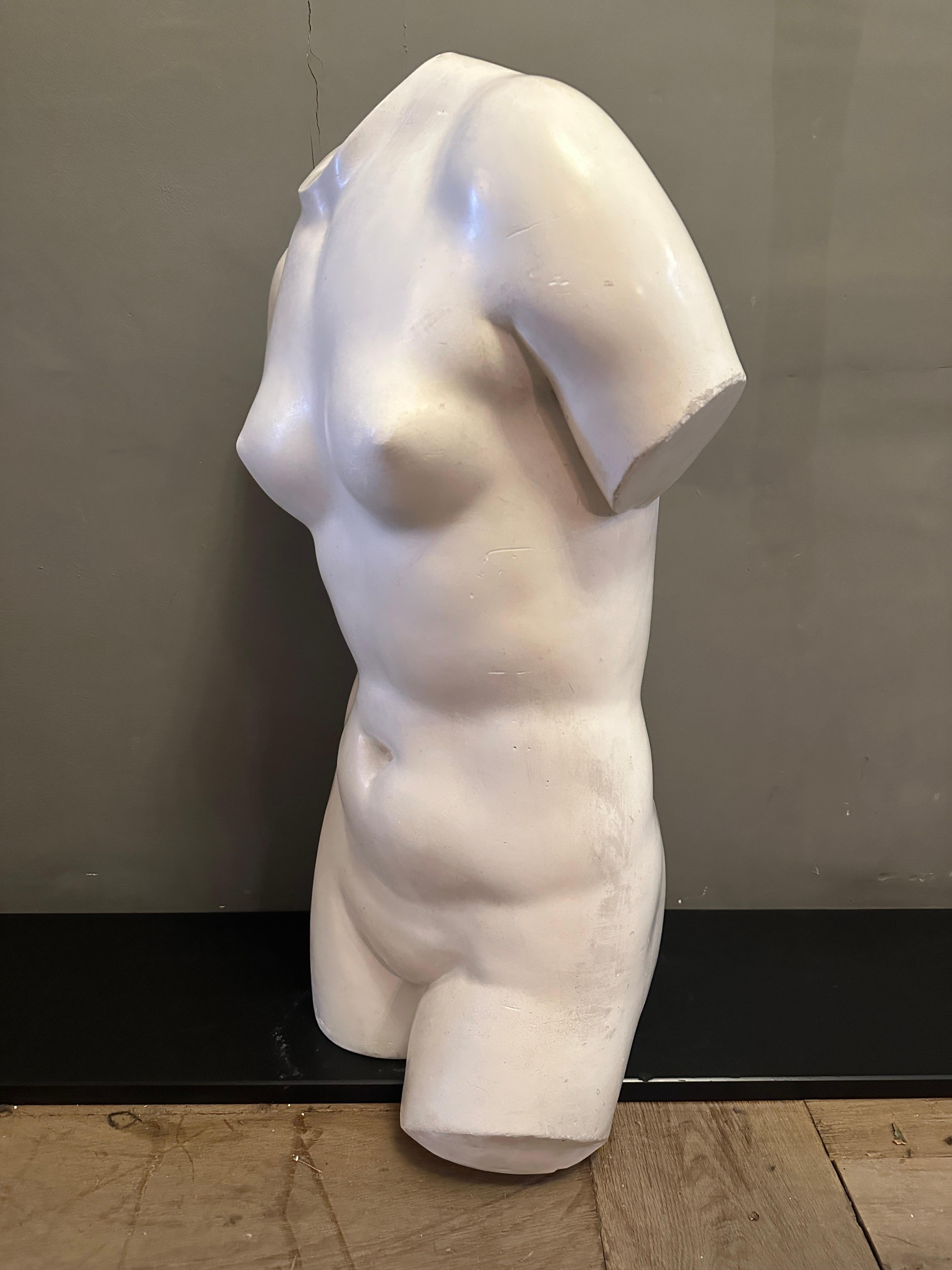 Torso italiano de escayola de tamaño natural de Venus de Milo Yeso en venta