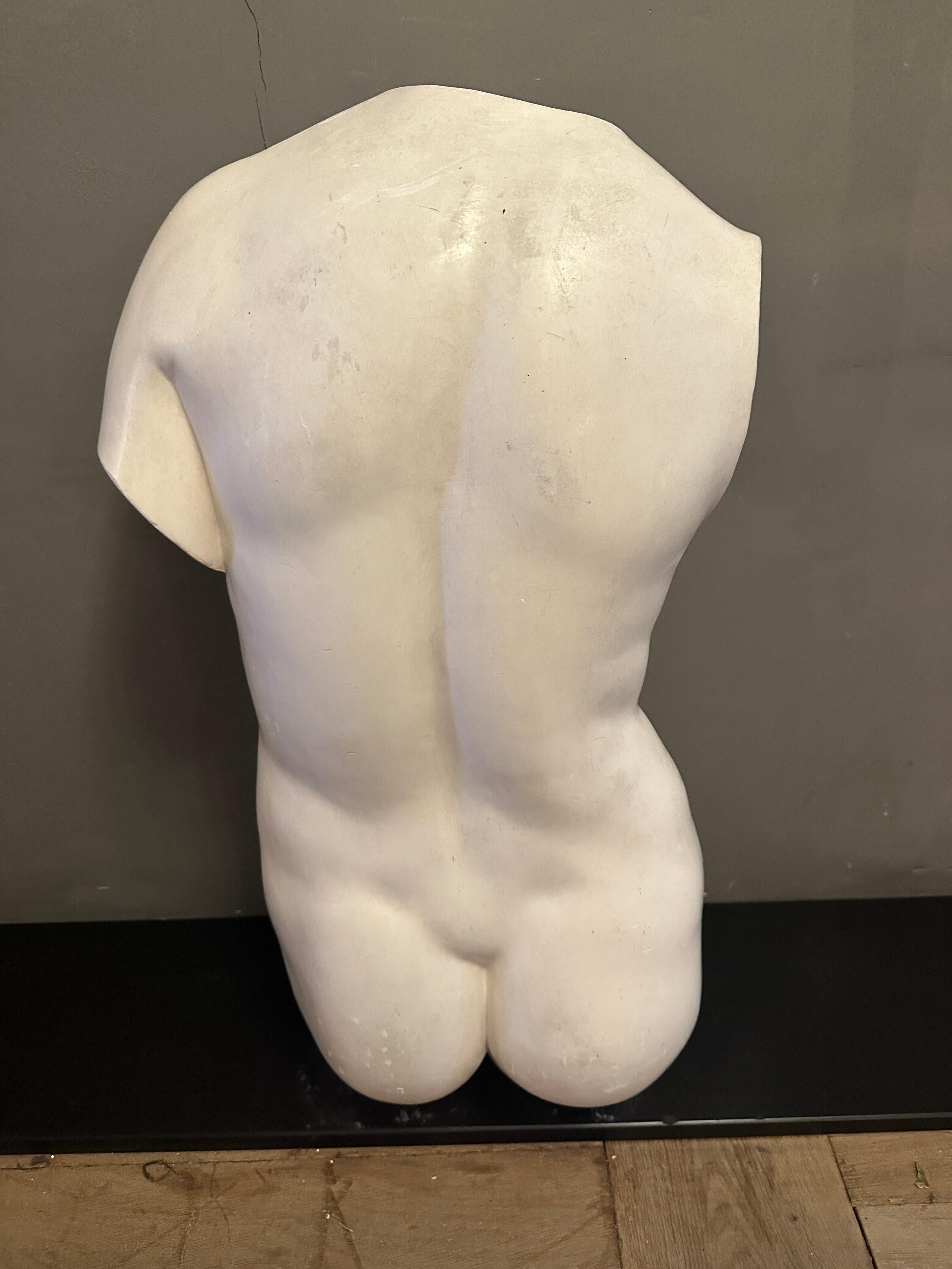 Torso italiano de escayola de tamaño natural de Venus de Milo en venta 2