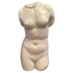 Un torso in gesso italiano a grandezza naturale della Venere di Milo
