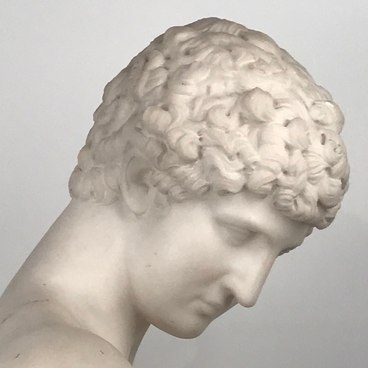 Italian Marble Bust of Antinous, after the Antique 3