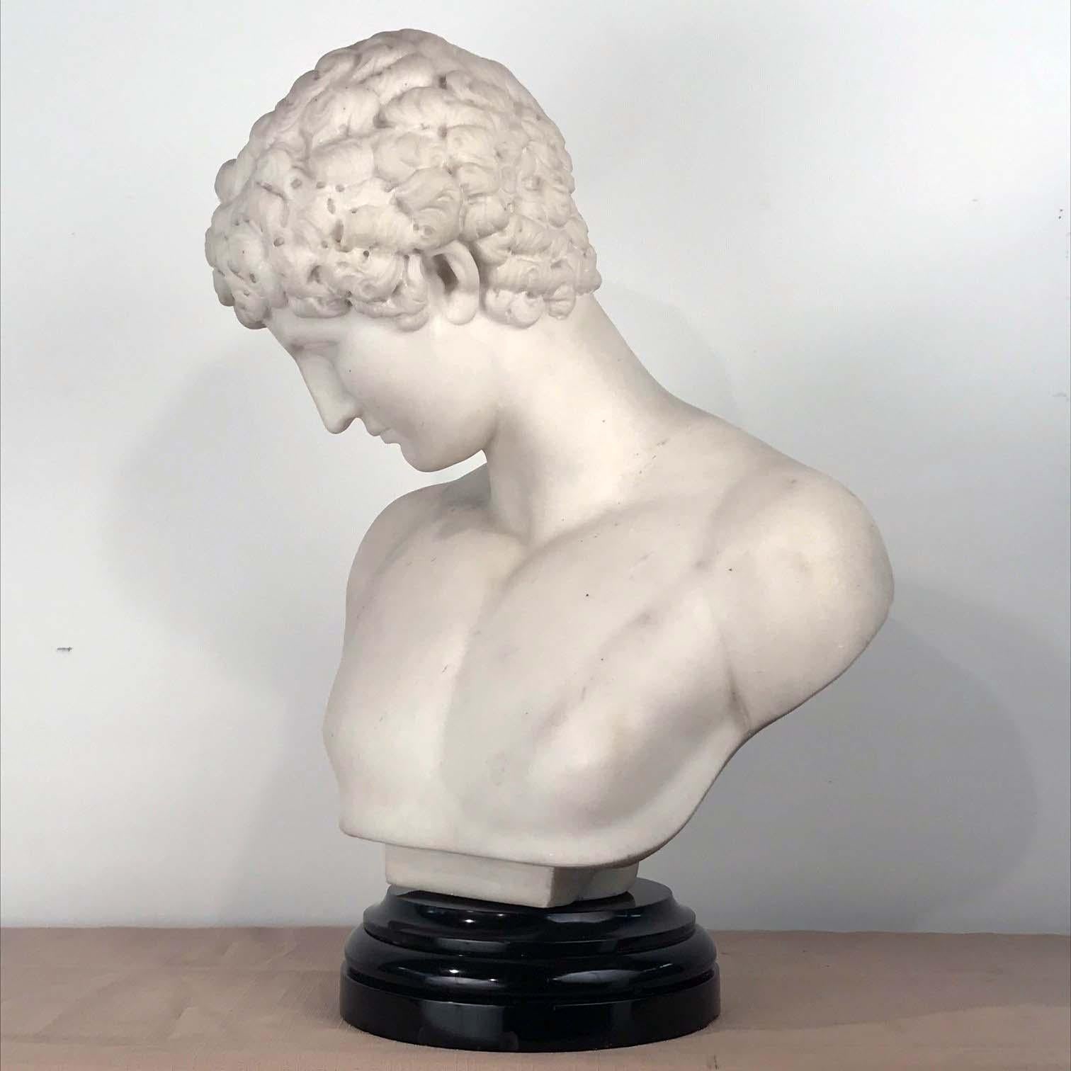 bust of antinous