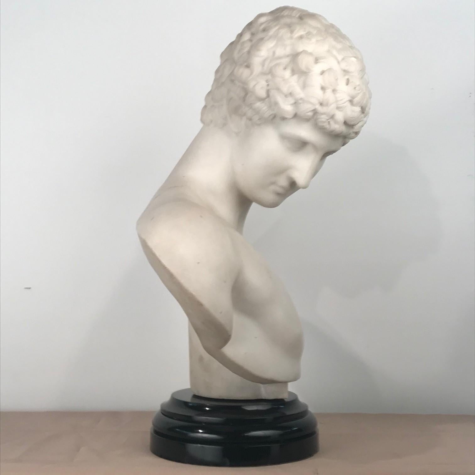 19th Century Italian Marble Bust of Antinous, after the Antique