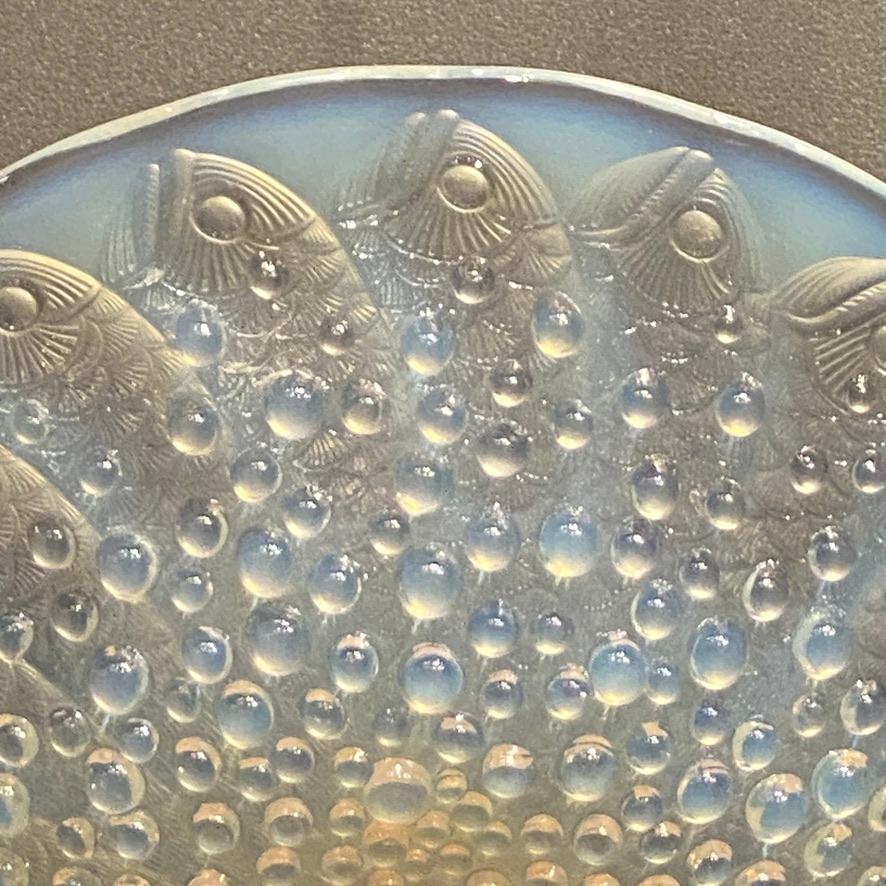 An Opalescent Roscoff dish by R.Lalique  4