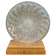 An Opalescent Roscoff dish by R.Lalique 