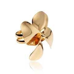 Statement Fidget Spinner 18 Karat Yellow Gold Ringx