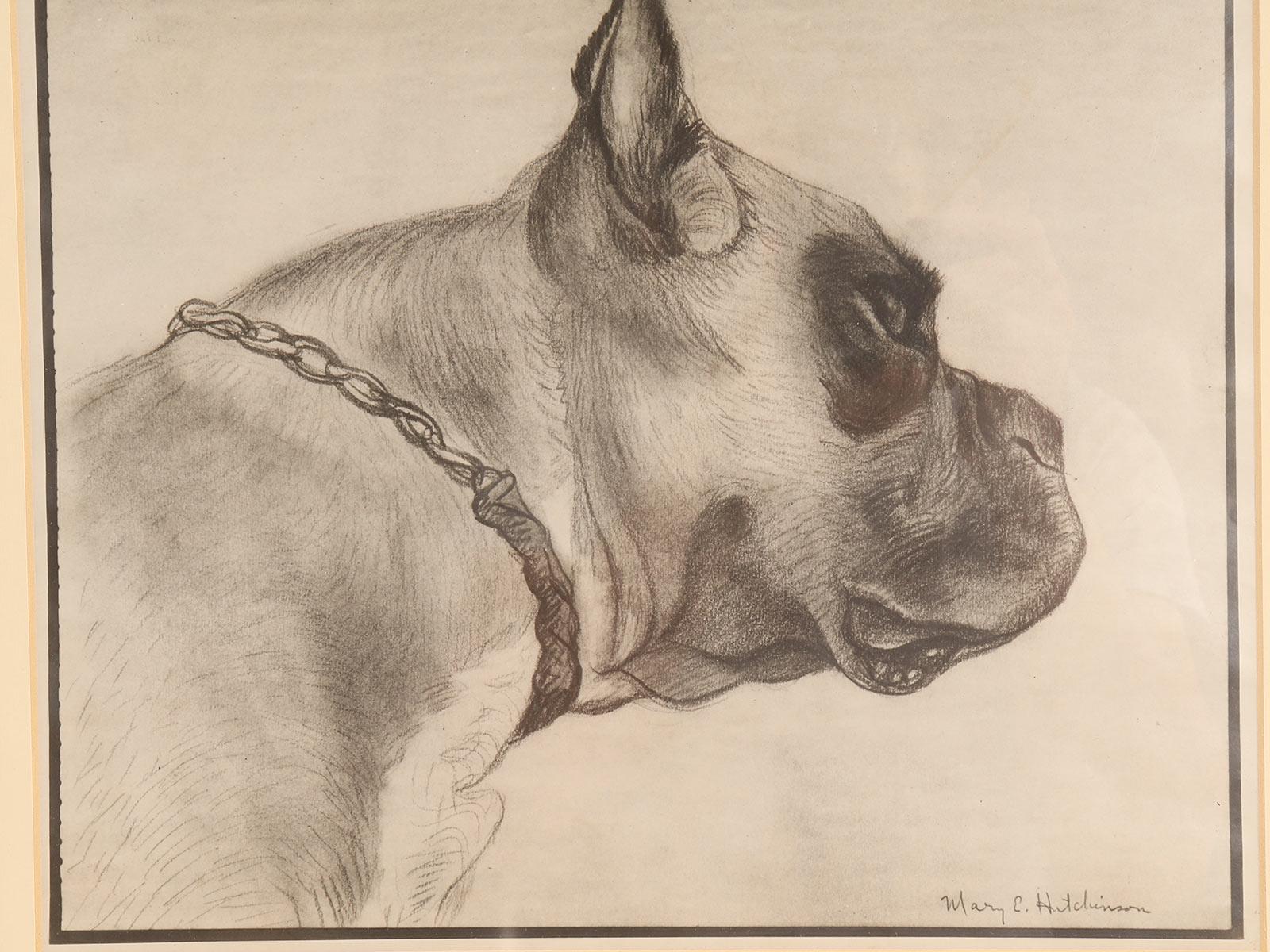 20ième siècle Gravure originale représentant la tête d'un chien boxer, USA 1930. en vente