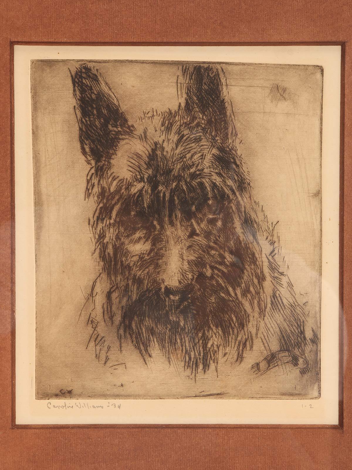 Originalradierung eines West Island Black Terriers, USA 1934. (amerikanisch) im Angebot