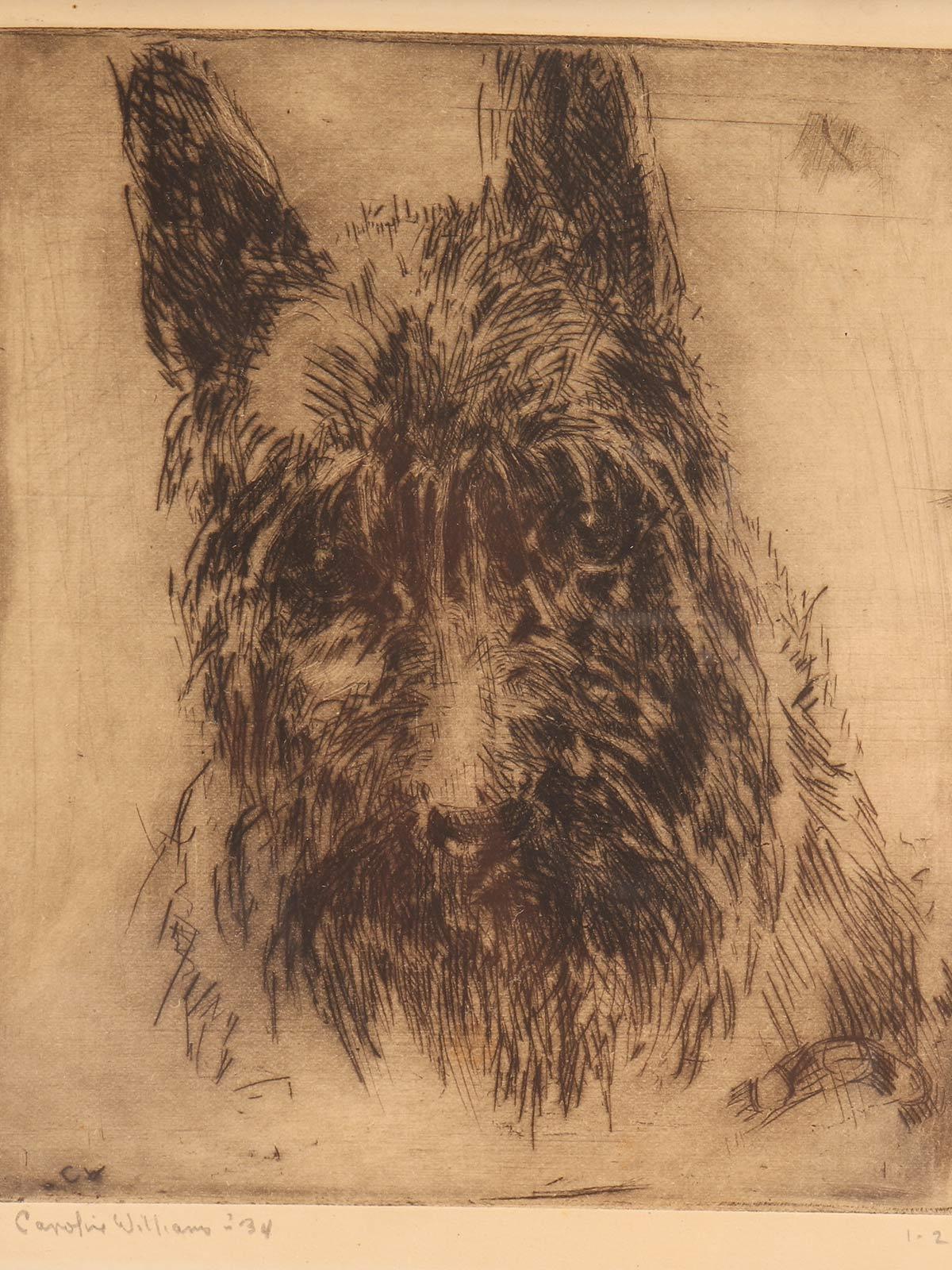 Originalradierung eines West Island Black Terriers, USA 1934. im Zustand „Gut“ im Angebot in Milan, IT