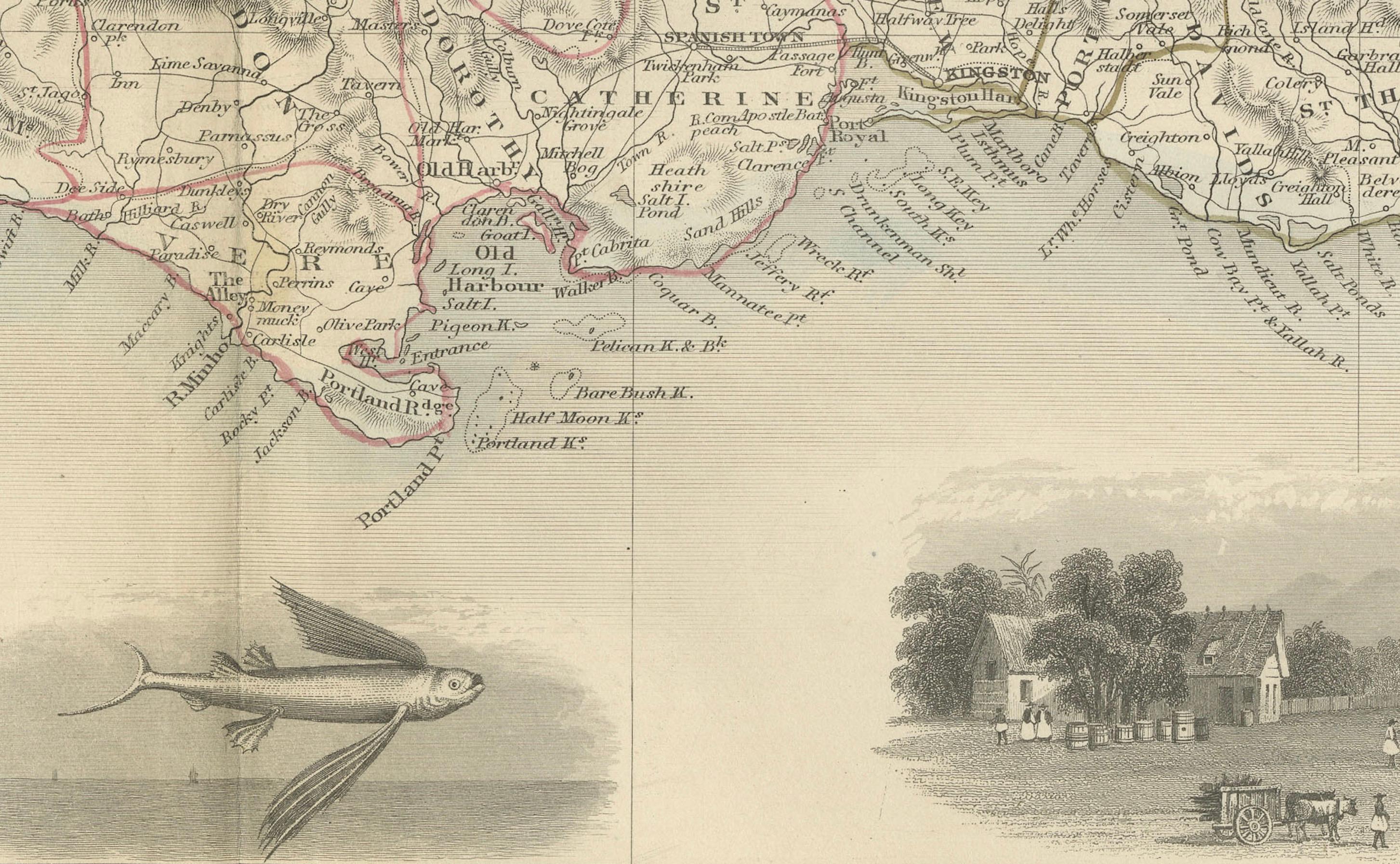 Ornamente und historische Tallis-Karte von Jamaika mit dekorativen Vignetten, 1851 (Papier) im Angebot